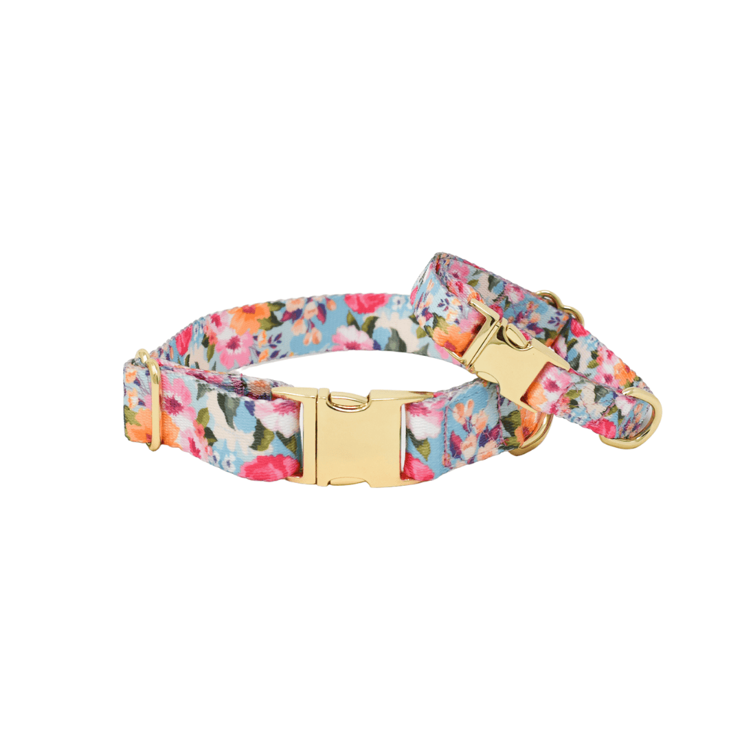 Emery Dog Collar | Pink Papyrus