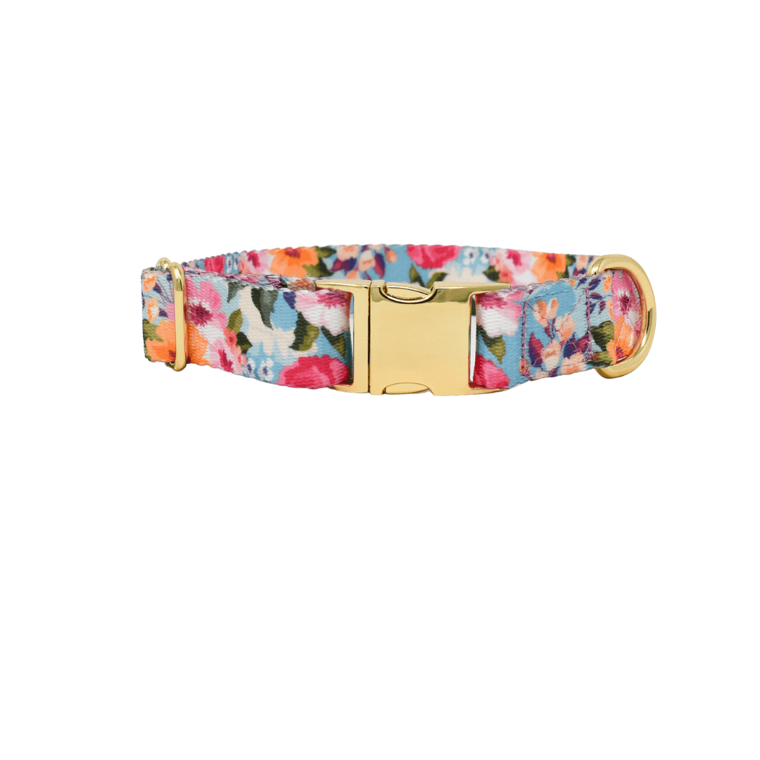 Emery Dog Collar | Pink Papyrus