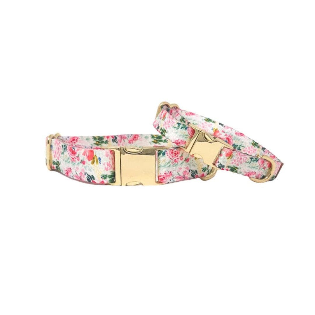 Isabella Dog Collar | Pink Papyrus