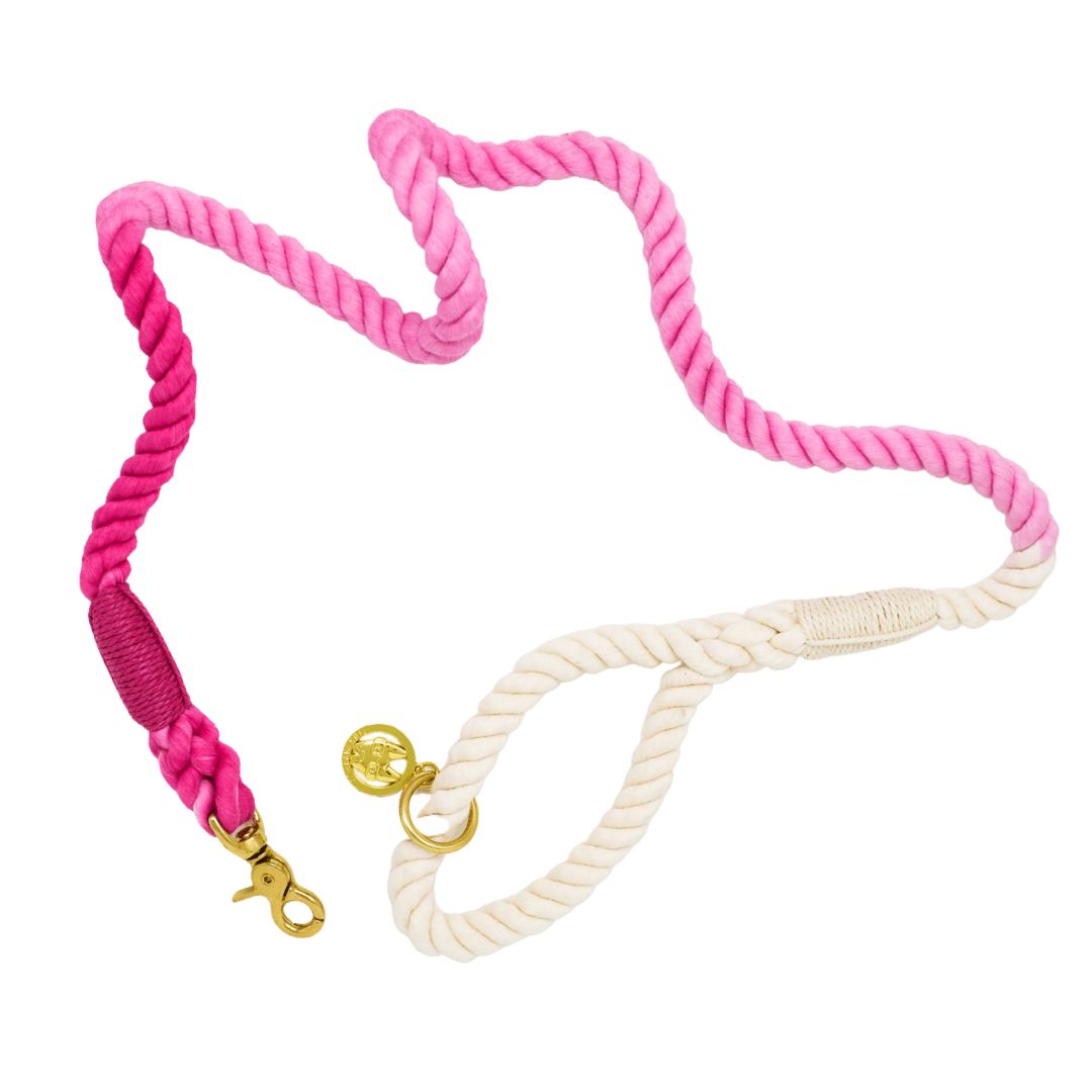🎁 Maggie Rope Dog Leash (100% off) | Pink Papyrus
