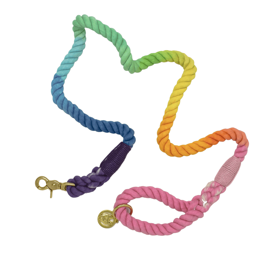 Nola Rope Dog Leash | Pink Papyrus