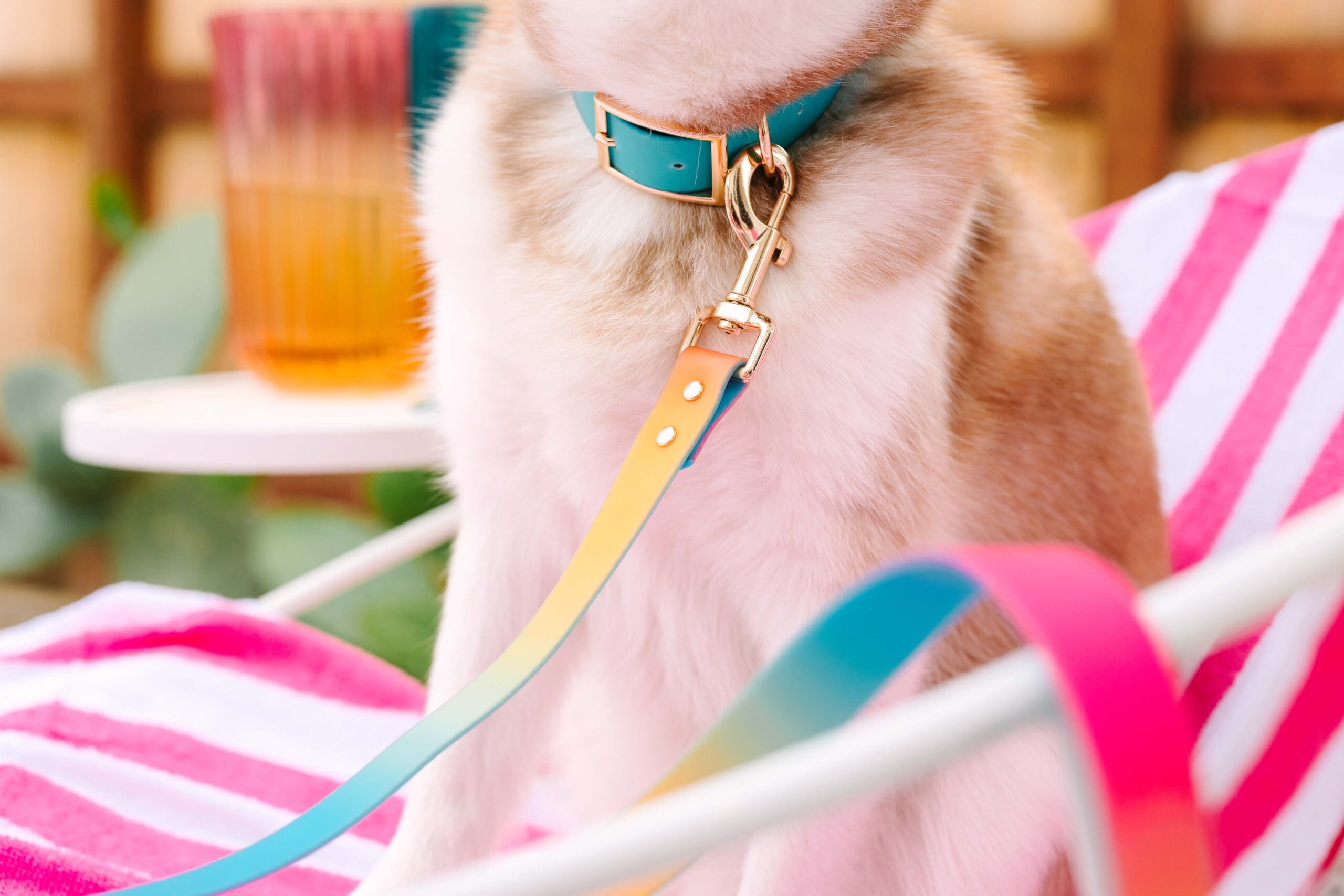 Pippa Dog Collar | Pink Papyrus