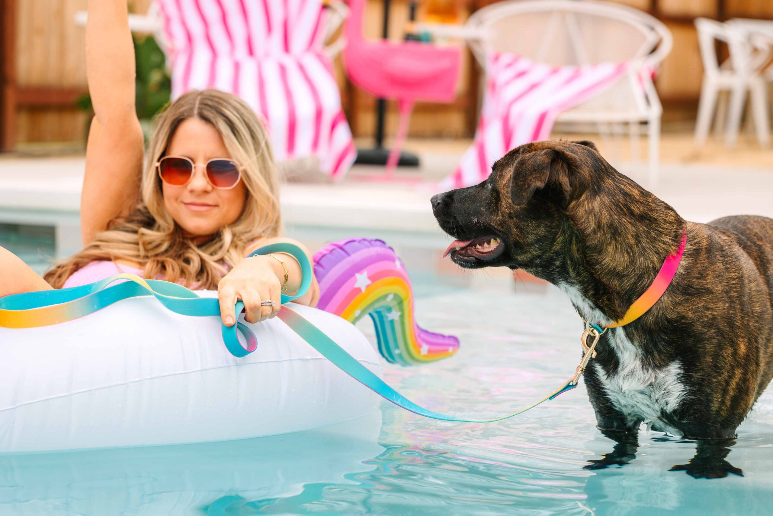Pippa Dog Collar | Pink Papyrus