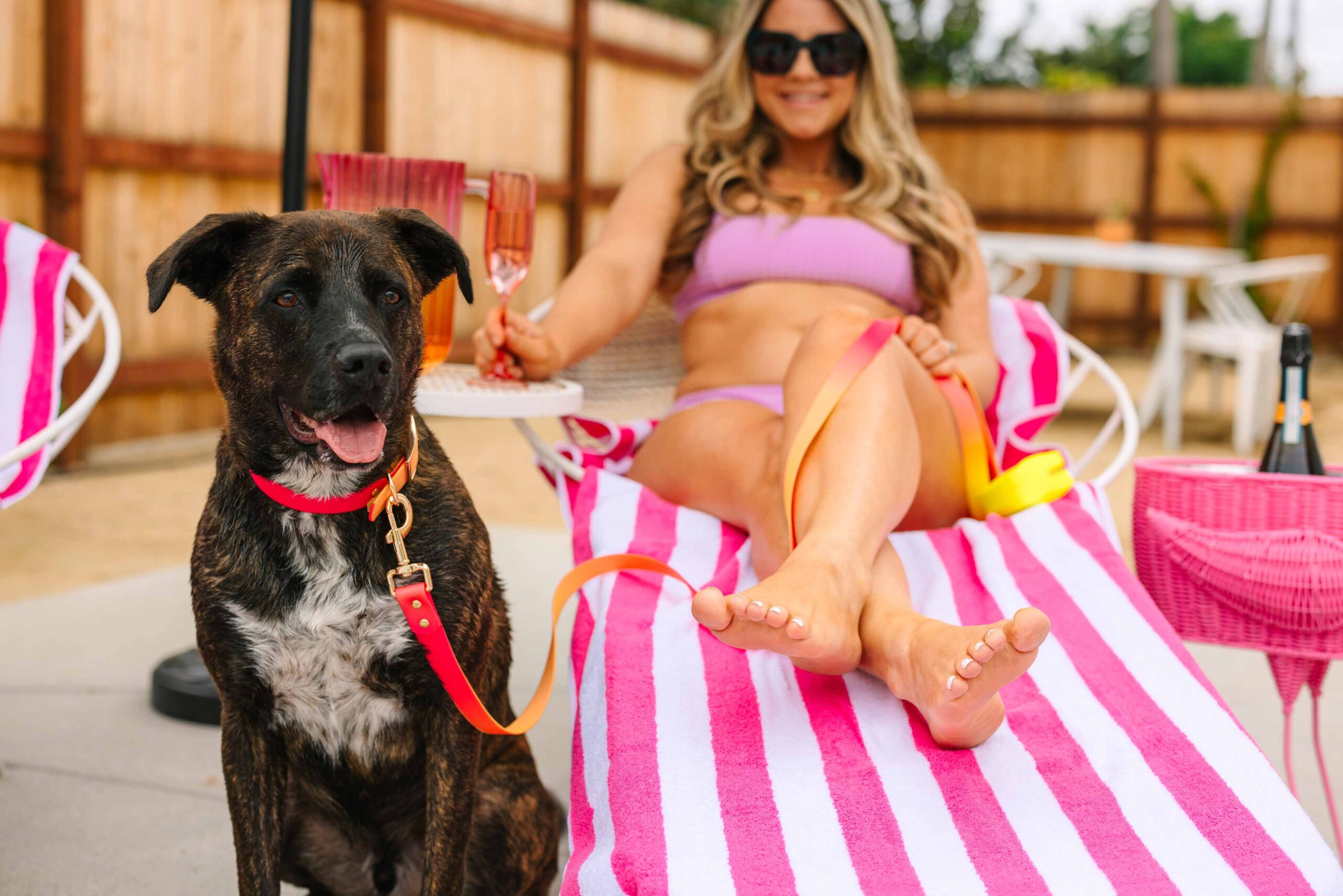 Katelin Dog Collar | Pink Papyrus
