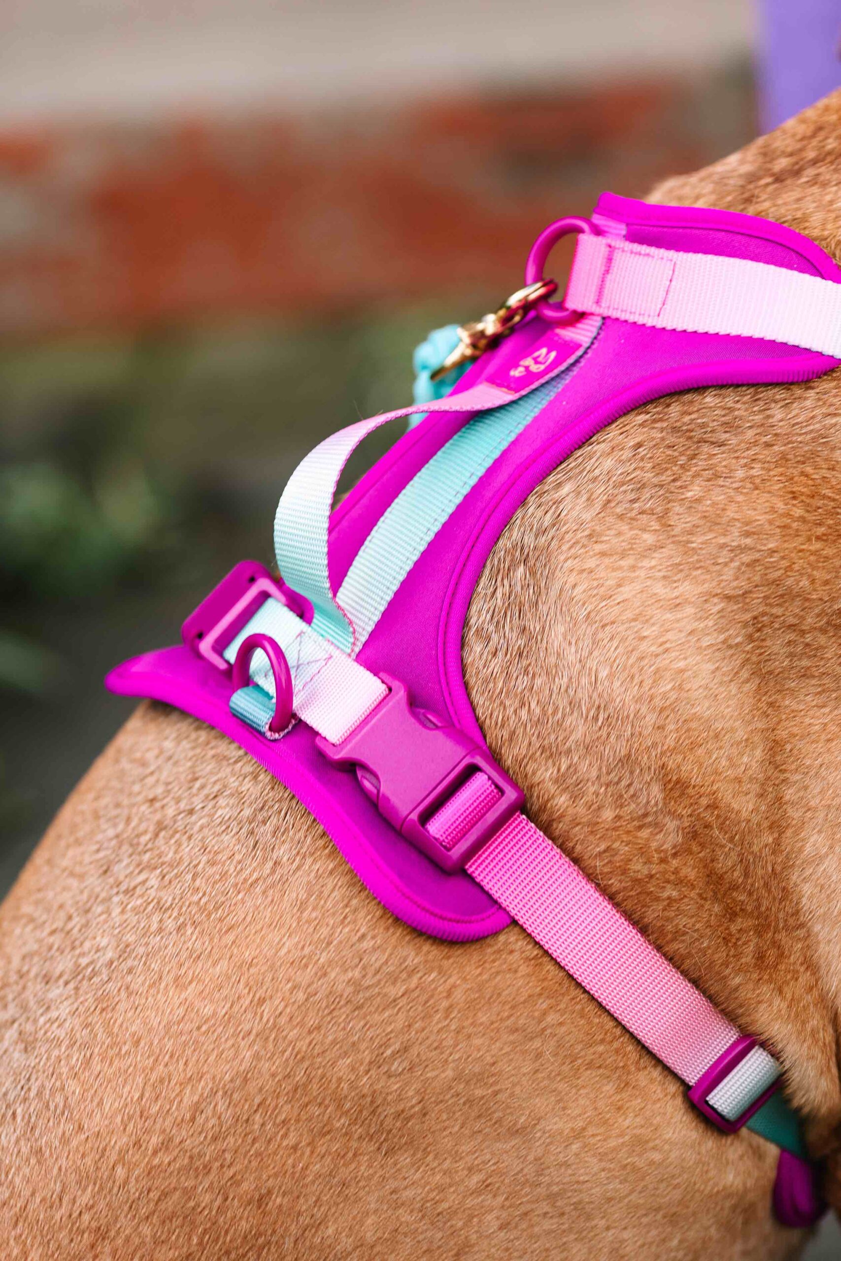 Joana Dog Harness | Pink Papyrus