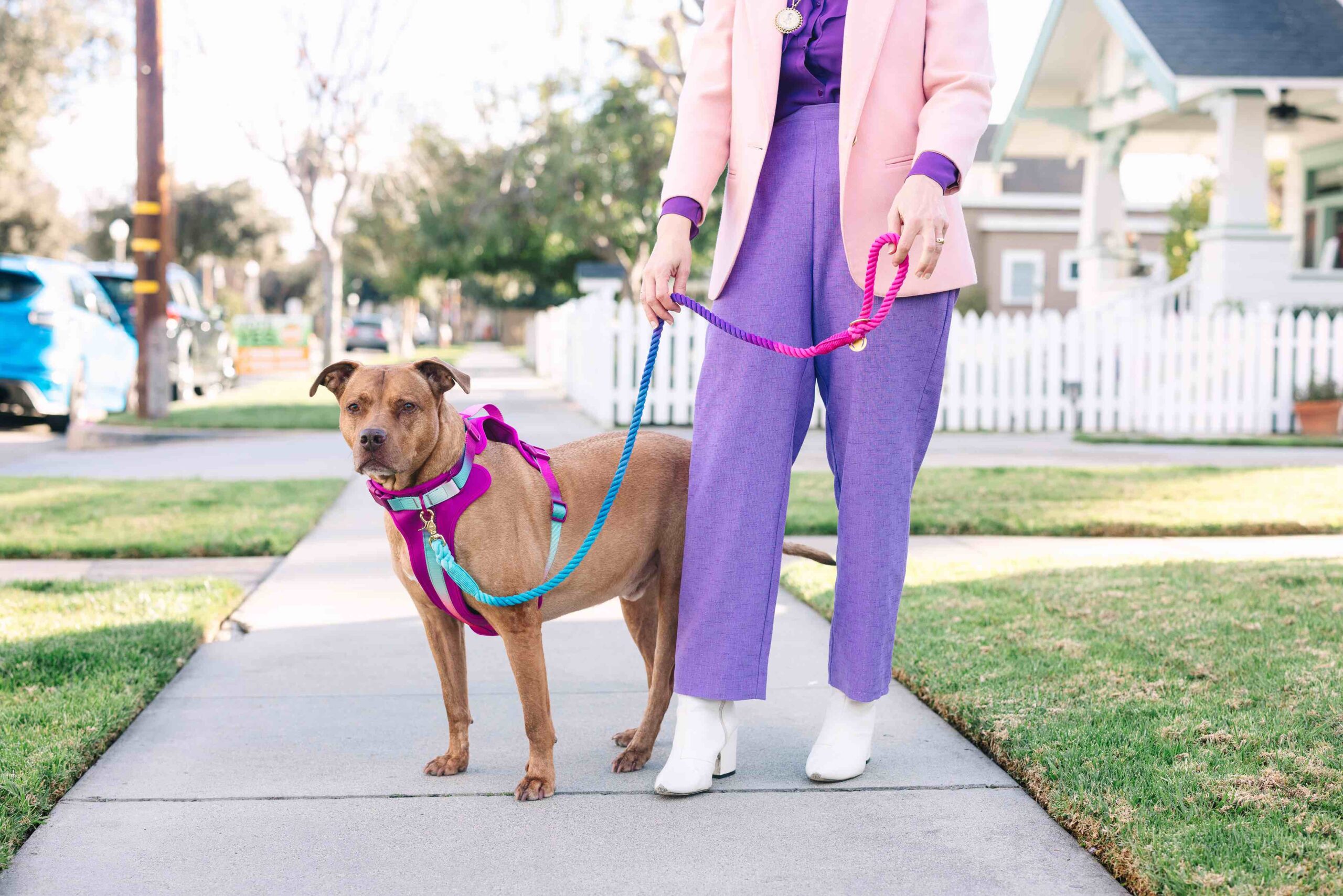 Joana Dog Harness | Pink Papyrus