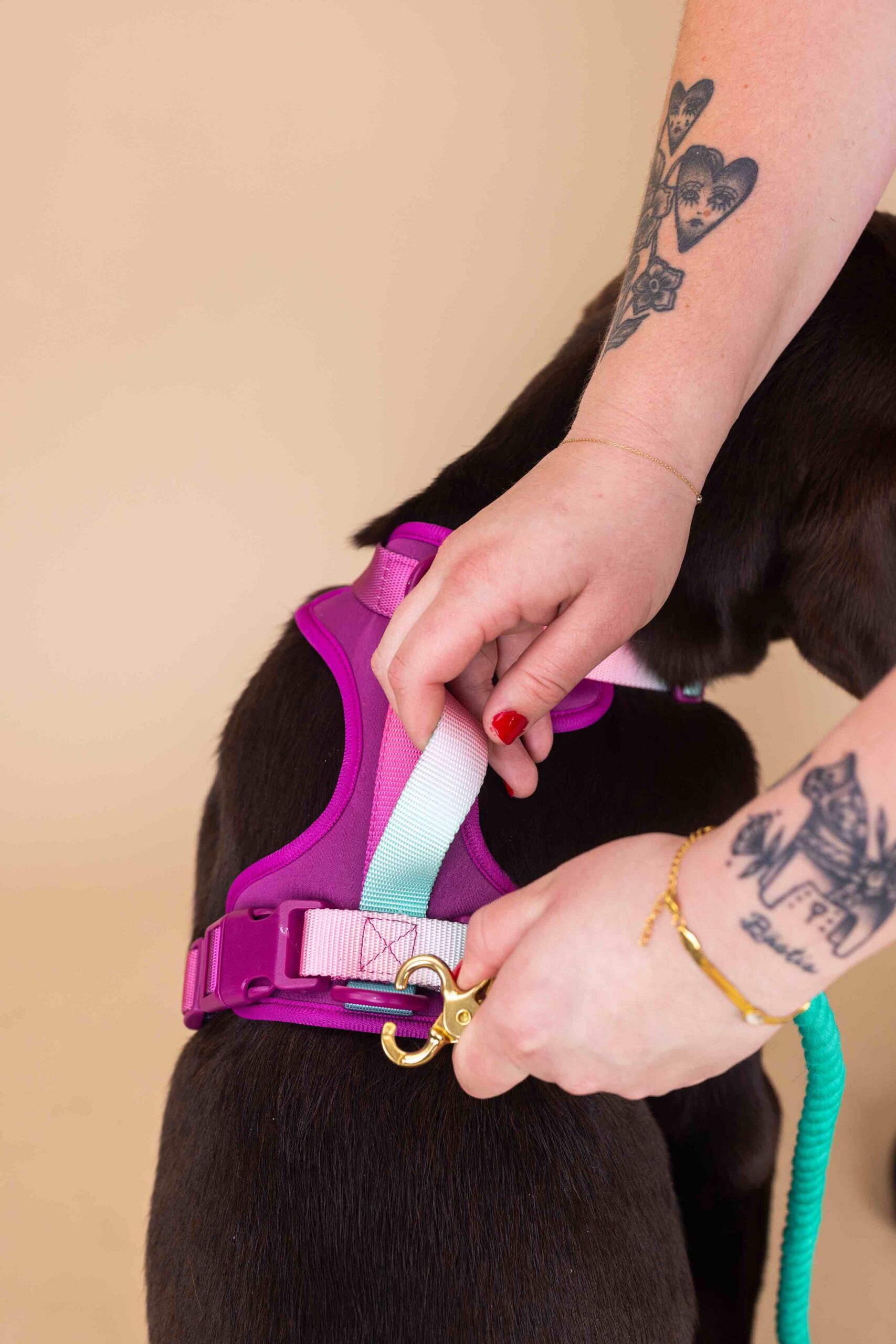 Joana Dog Harness | Pink Papyrus