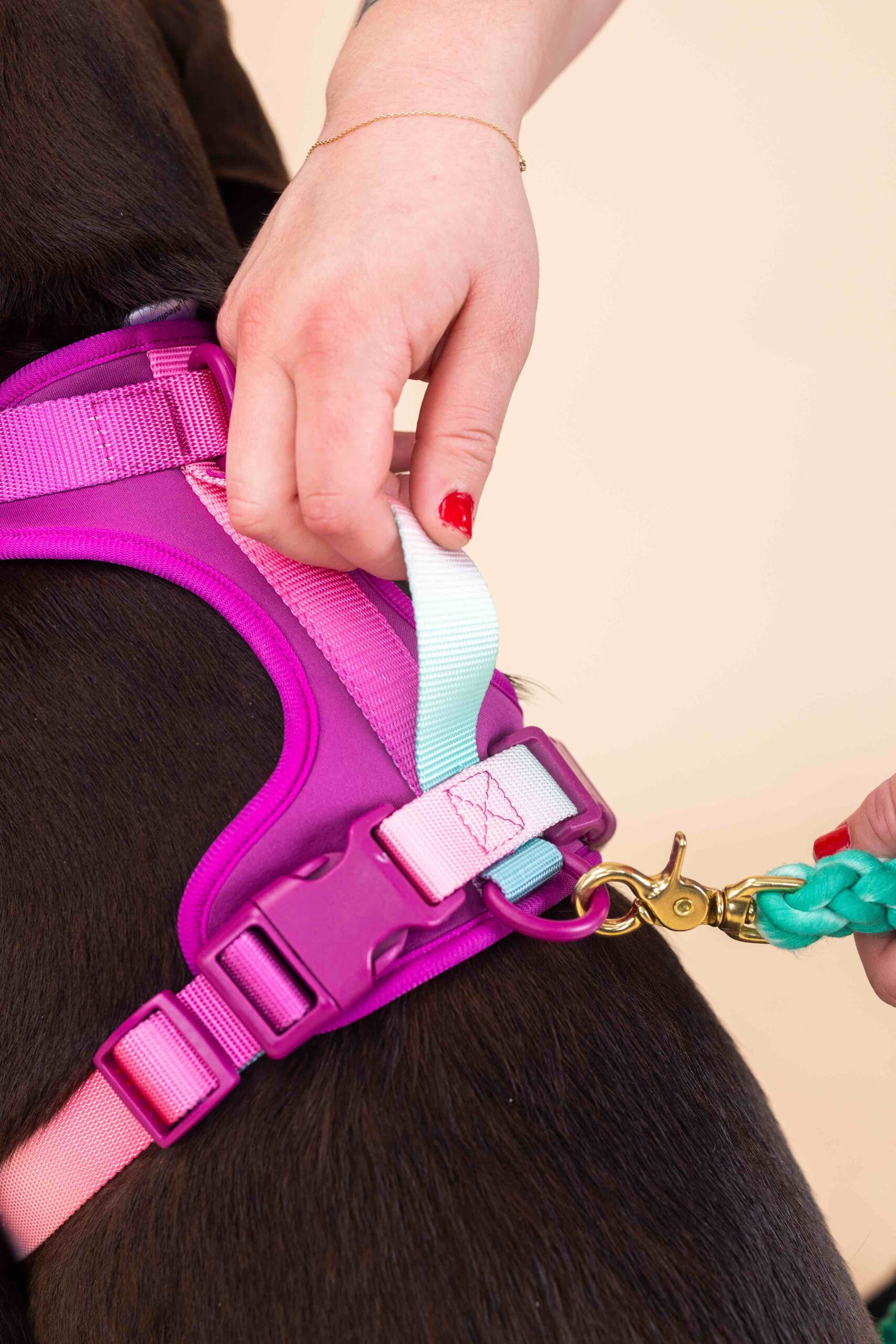 Joana Dog Harness | Pink Papyrus