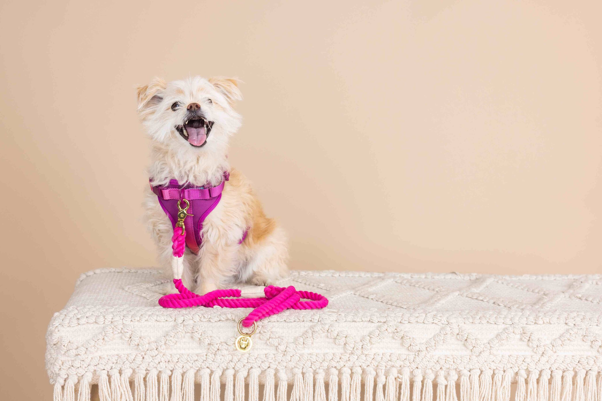Joana Dog Harness | Pink Papyrus