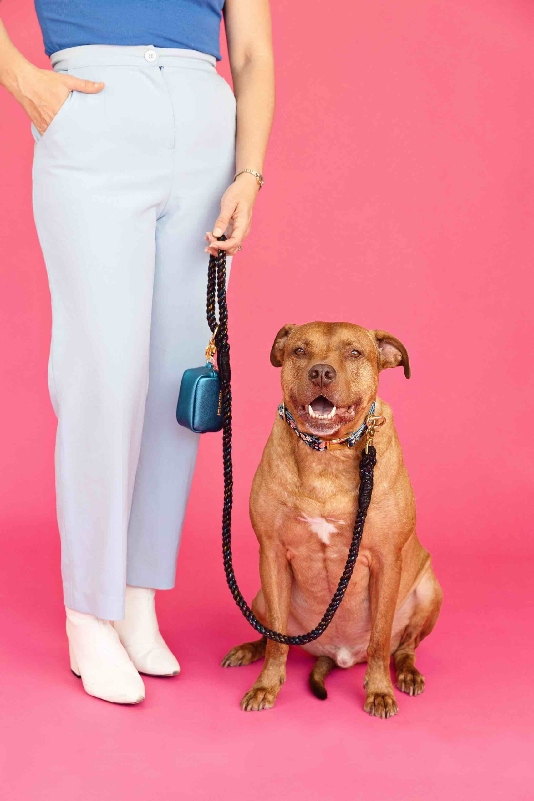 Stella Rope Dog Leash | Pink Papyrus