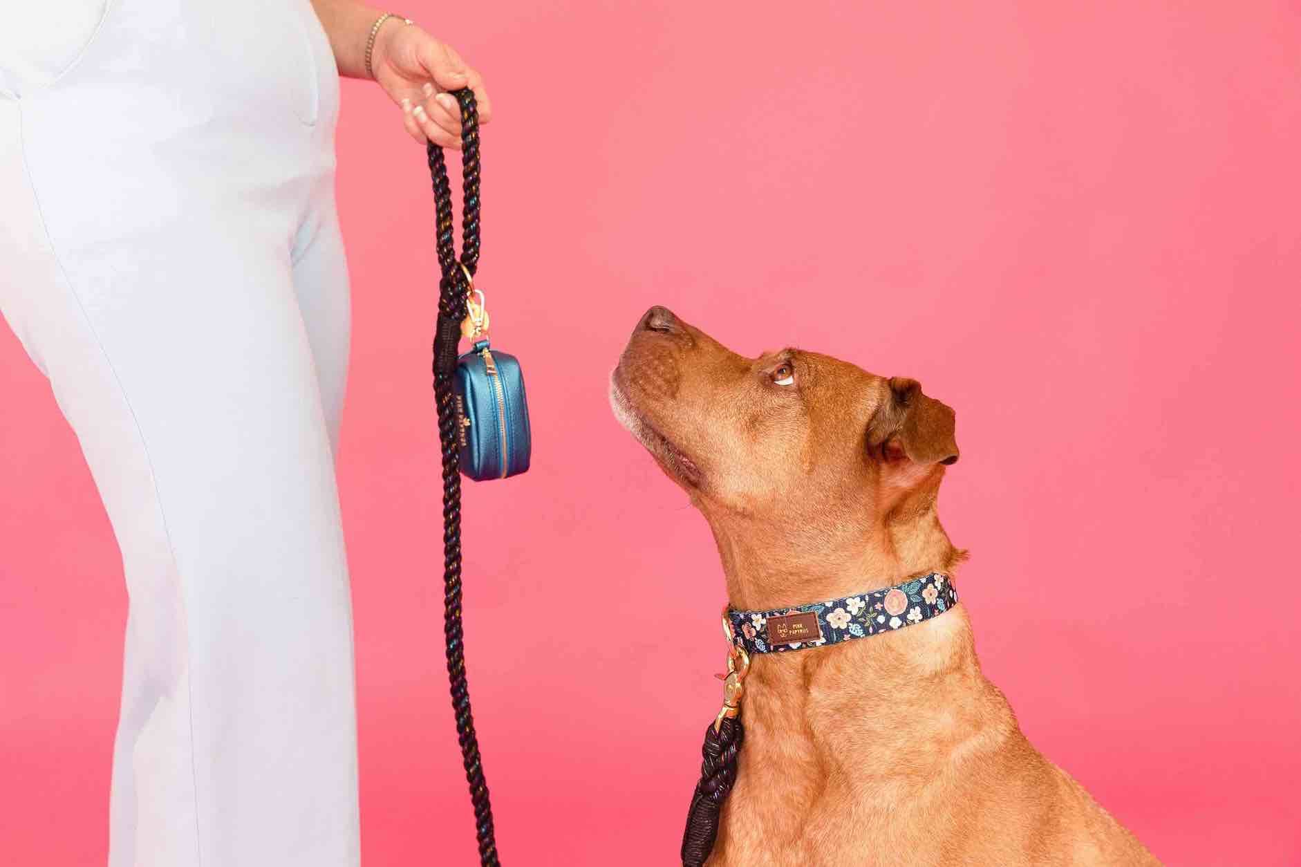Stella Rope Dog Leash | Pink Papyrus