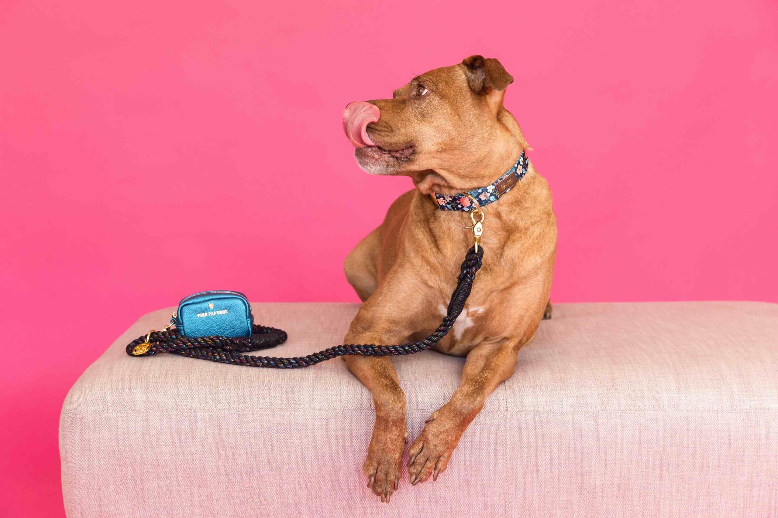 Stella Rope Dog Leash | Pink Papyrus