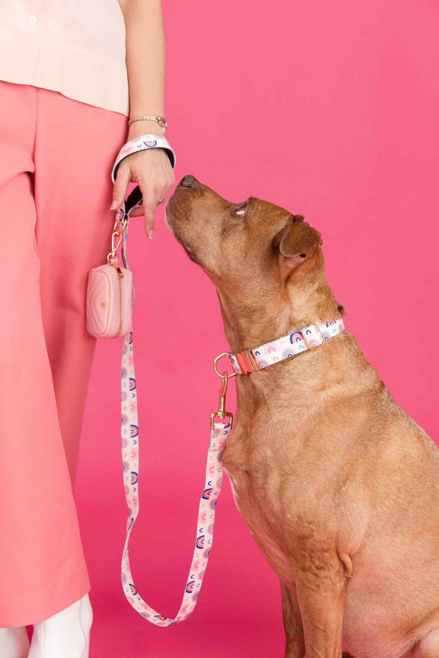 Clarke Dog Leash | Pink Papyrus