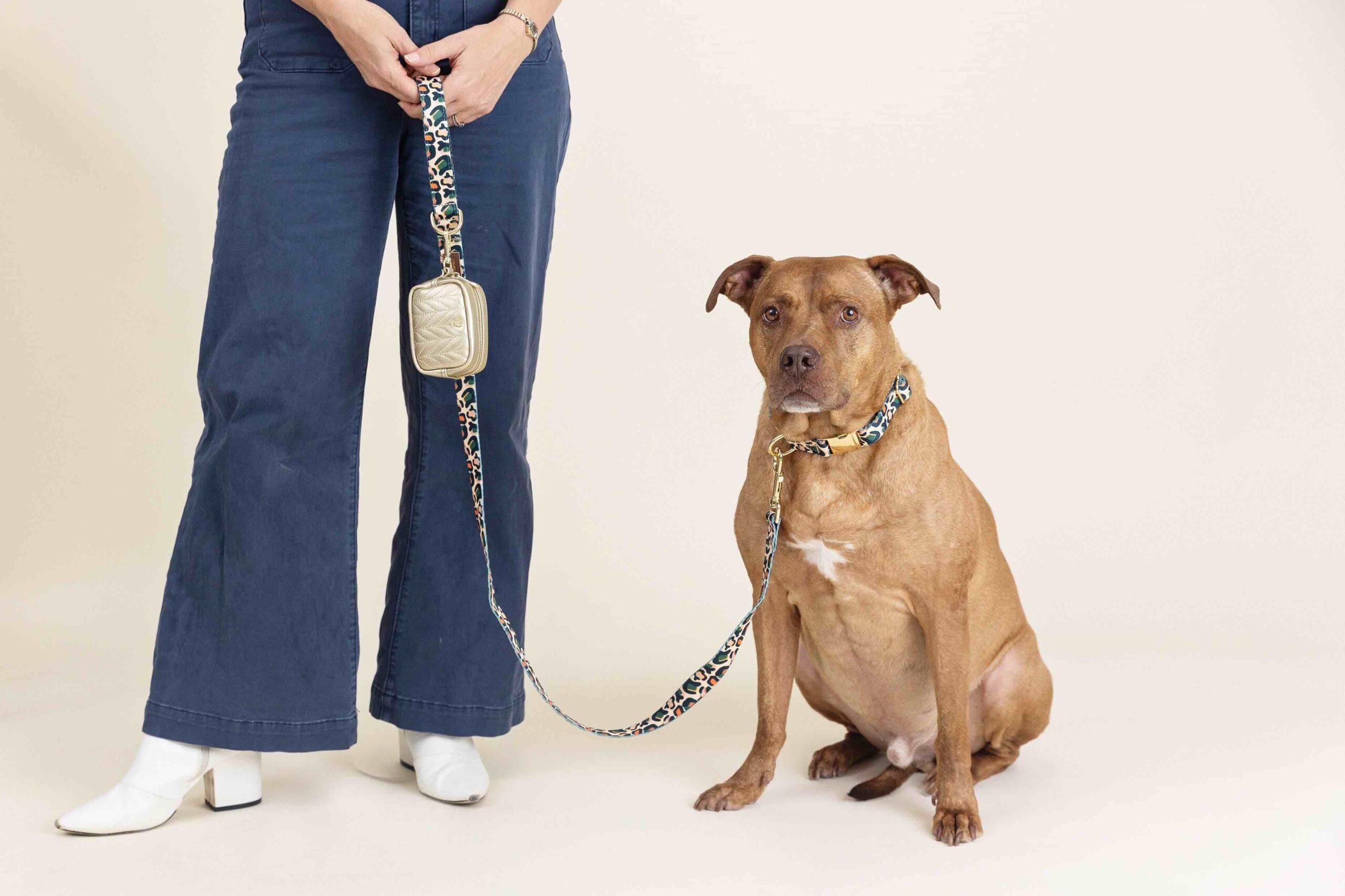 Beckett Dog Collar | Pink Papyrus