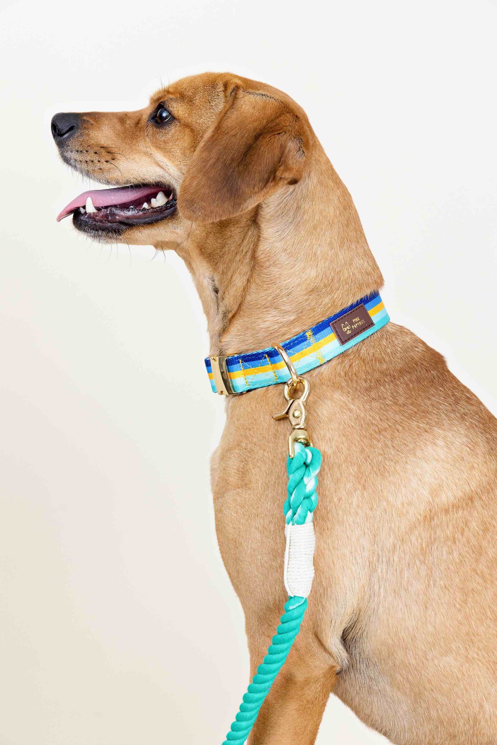 Ariel Rope Dog Leash | Pink Papyrus