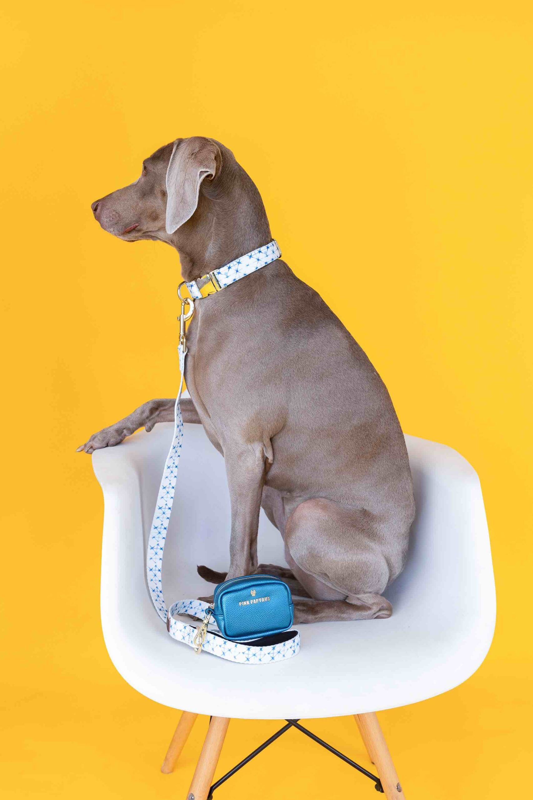 Drew Dog Collar | Pink Papyrus