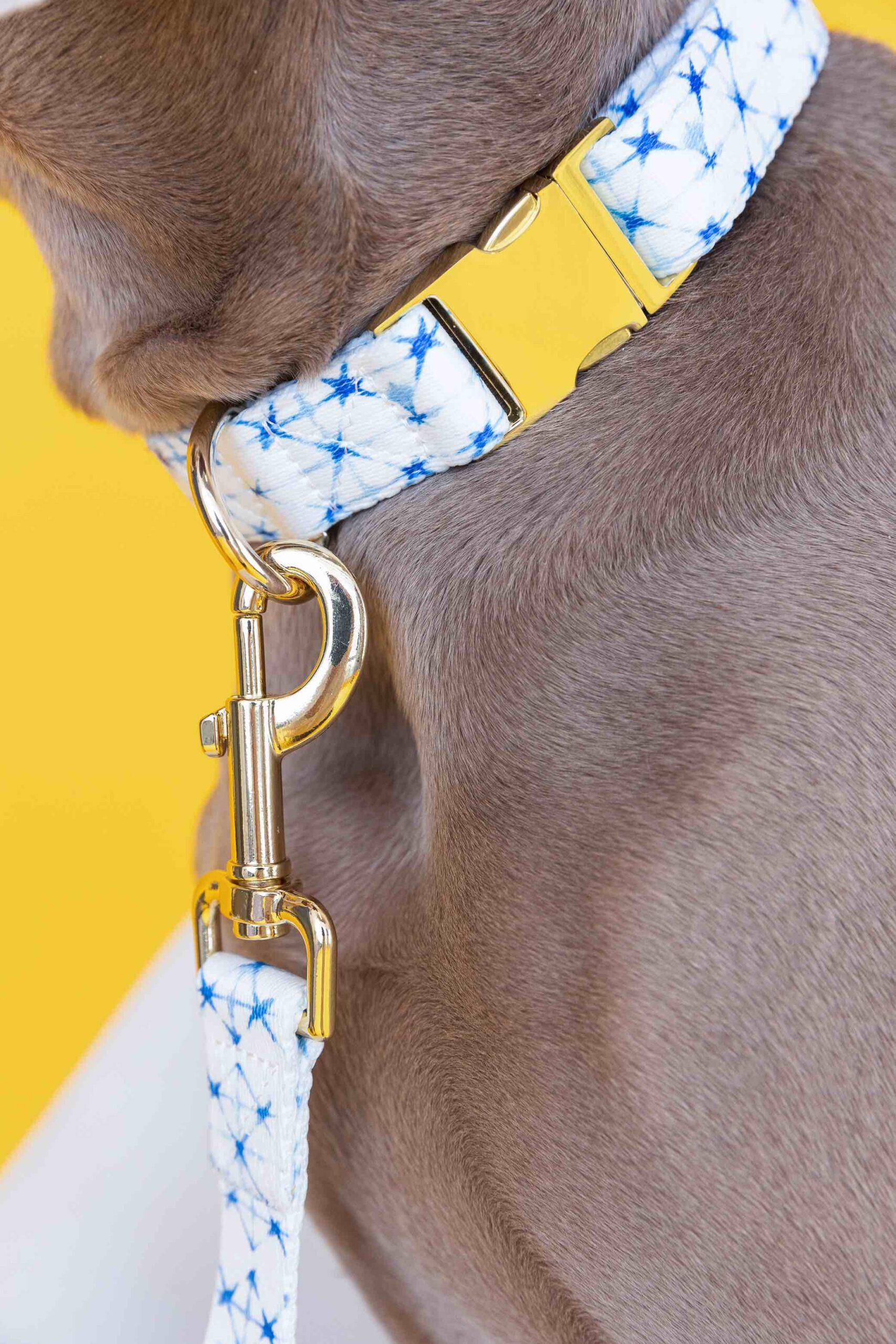 Drew Dog Collar | Pink Papyrus