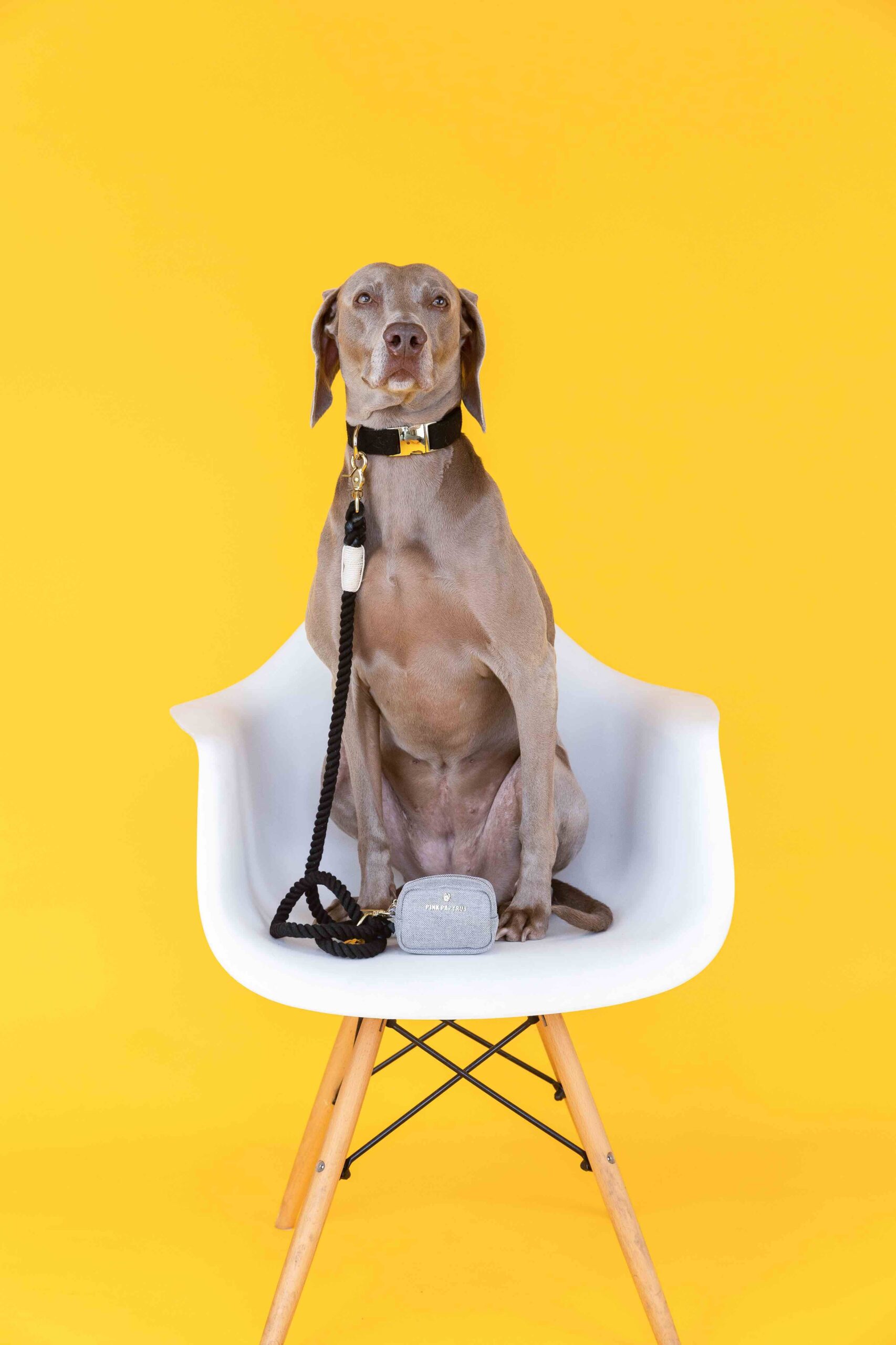 Kerry Rope Dog Leash | Pink Papyrus