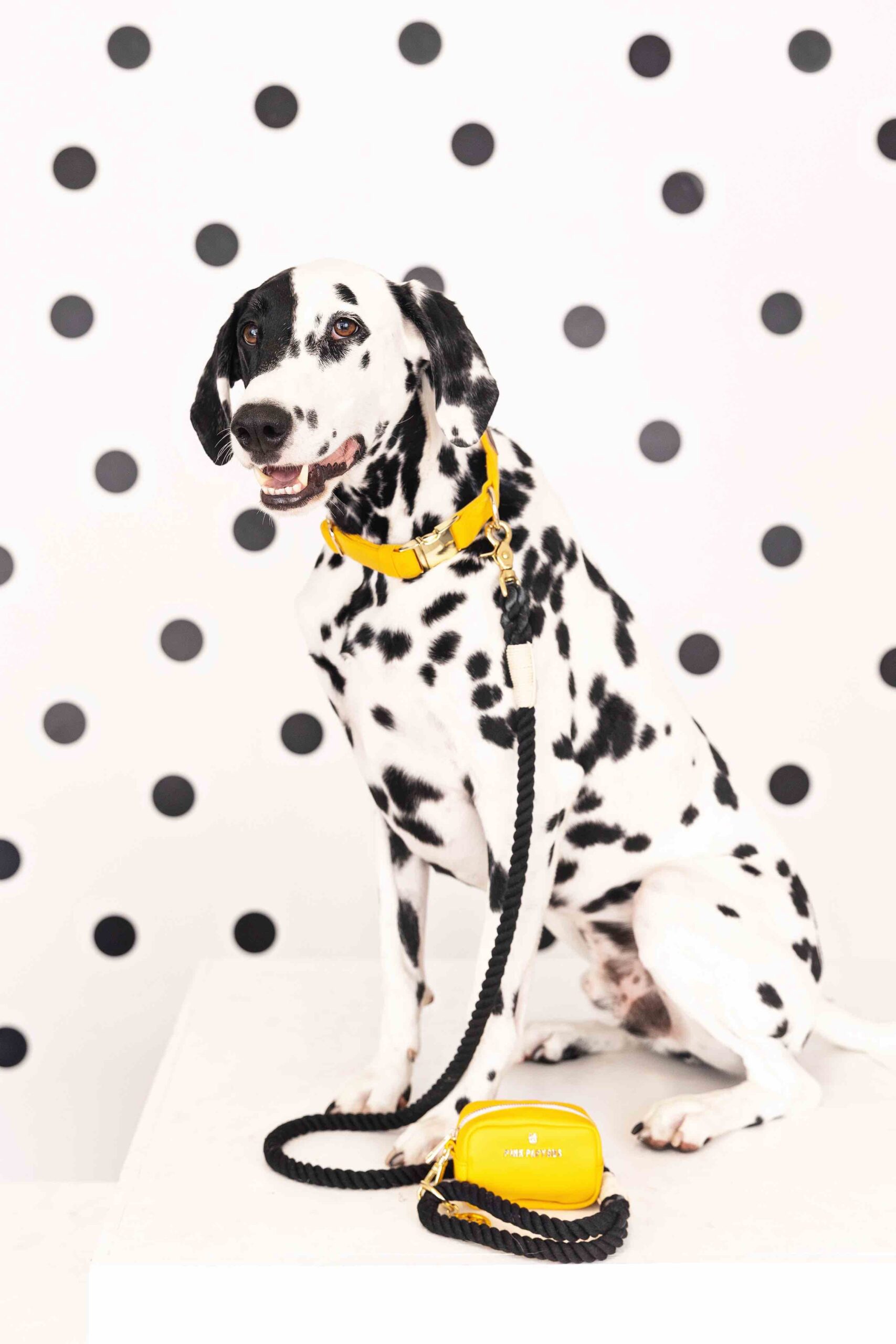 Kerry Rope Dog Leash | Pink Papyrus