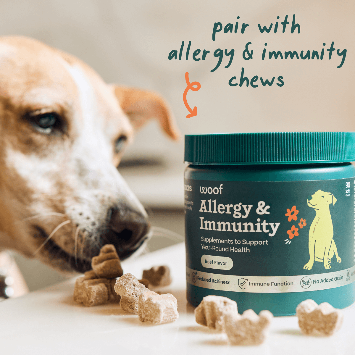 Allergy & Immunity Wellness Pops . - Image 4