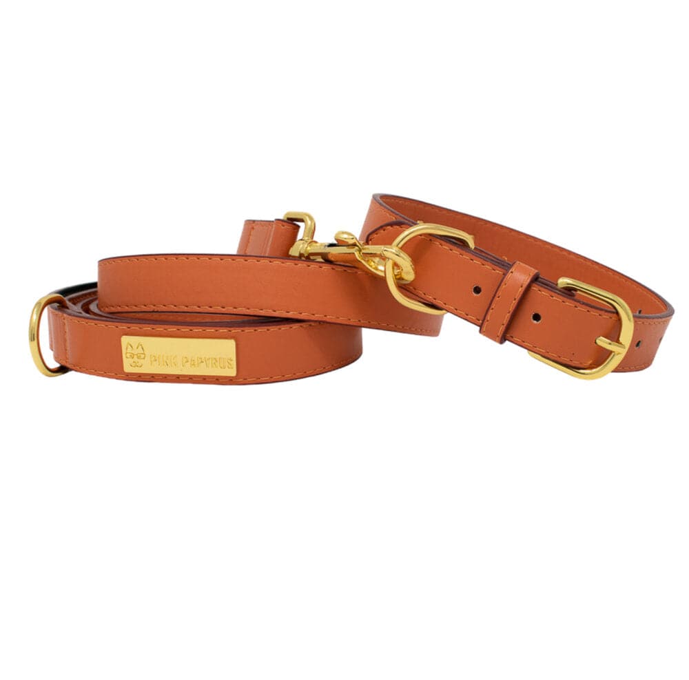 Ainsley Vegan Leather Dog Leash | Pink Papyrus