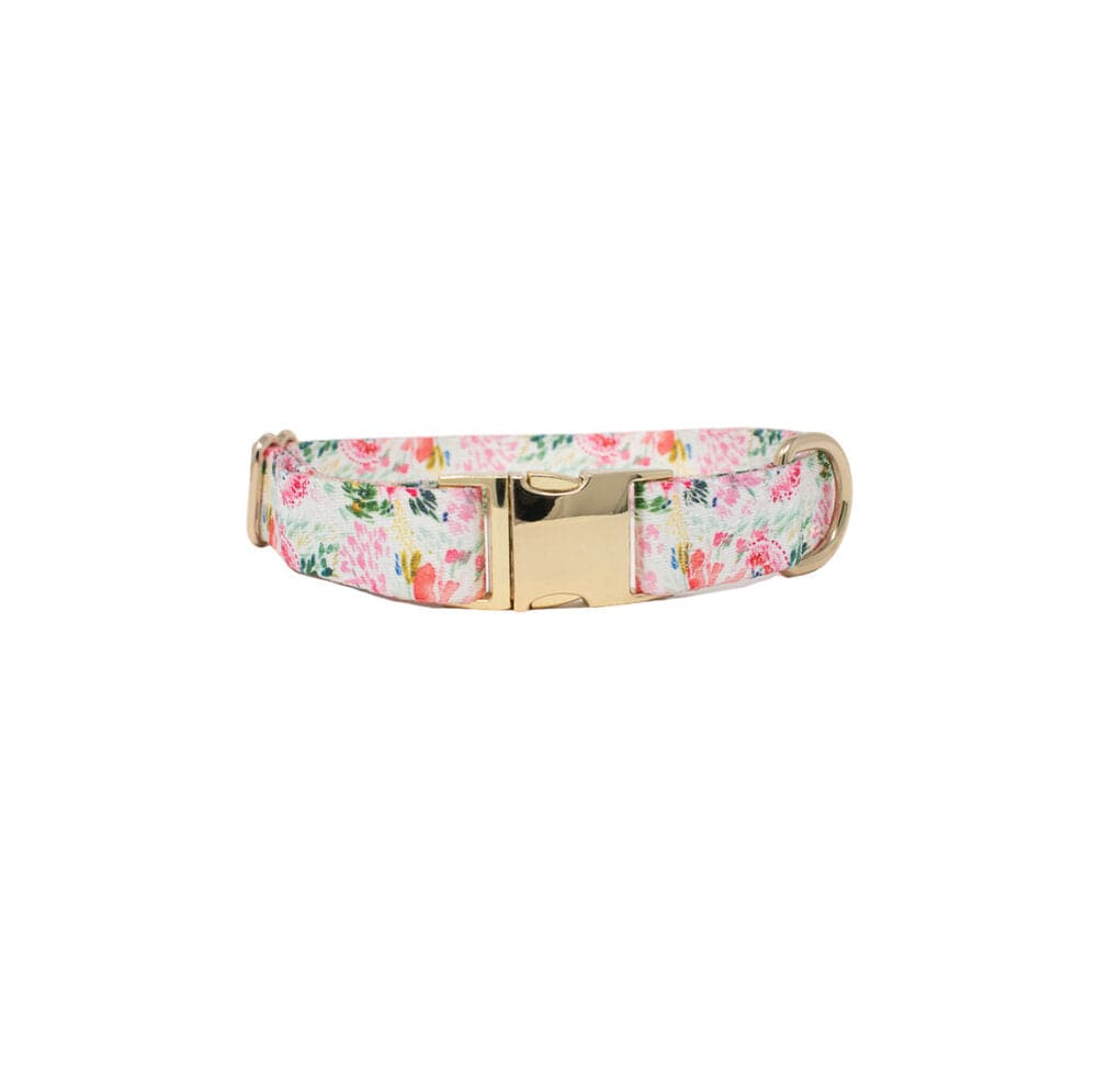 Isabella Dog Collar | Pink Papyrus