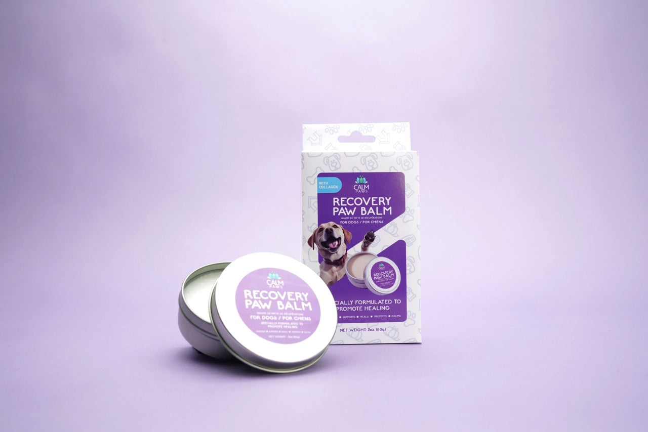 Calm Paws Recovery Healing & Calming Paw Balm - Image 5