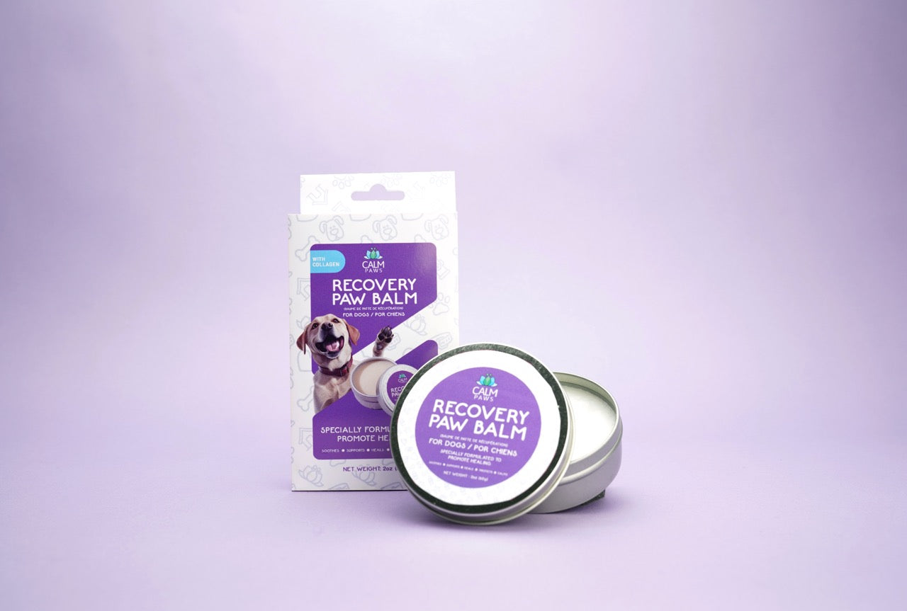 Calm Paws Recovery Healing & Calming Paw Balm - Image 6