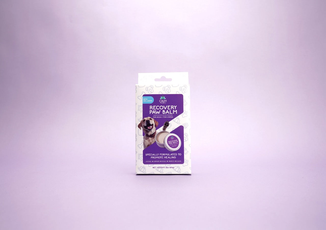 Calm Paws Recovery Healing & Calming Paw Balm - Image 3