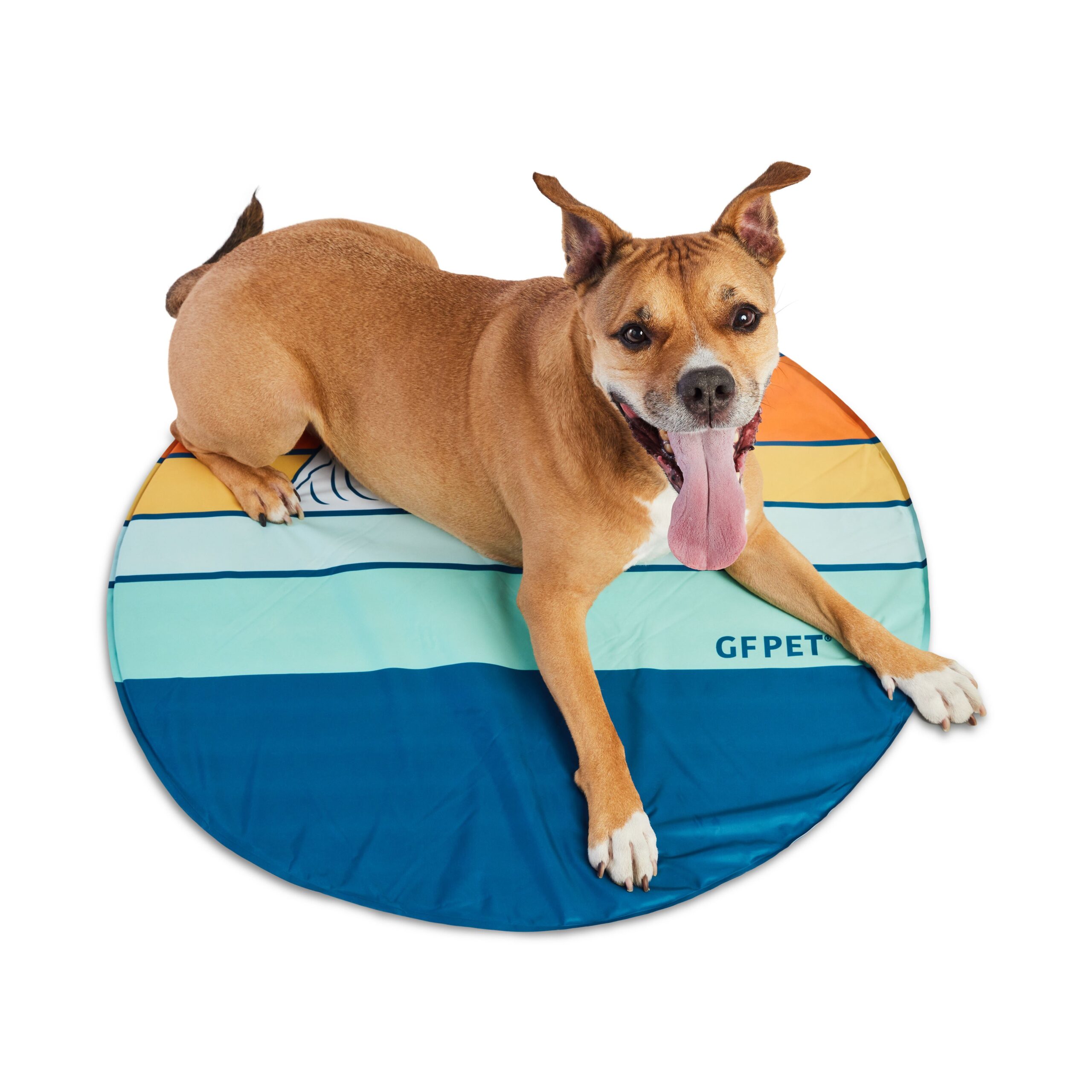 GF Pet Ice Mat - Image 6
