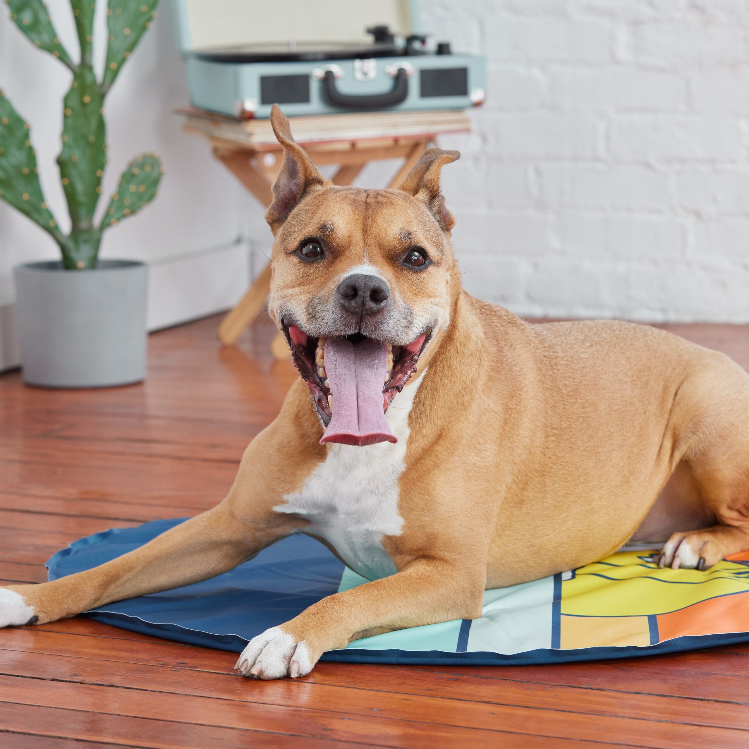 GF Pet Ice Mat - Image 7