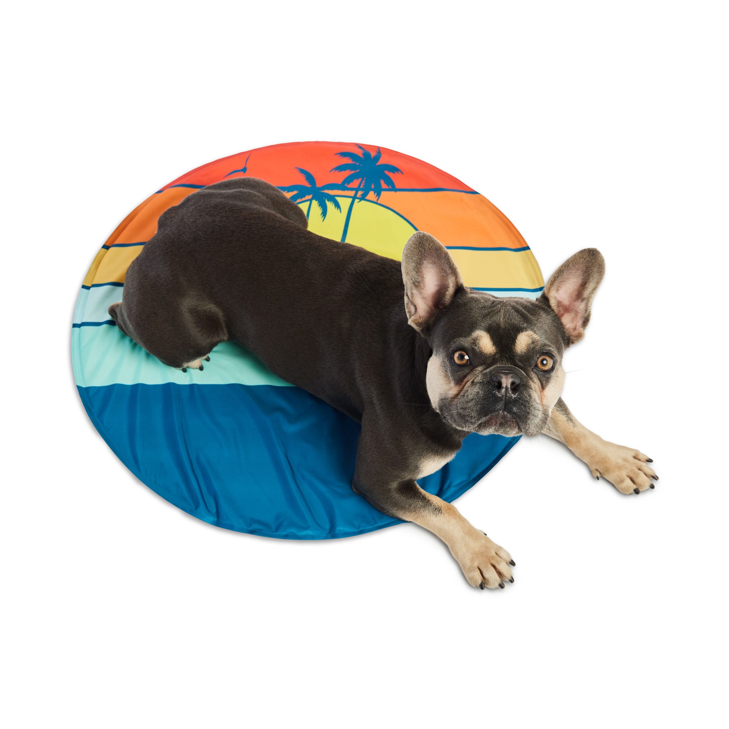 GF Pet Ice Mat - Image 4