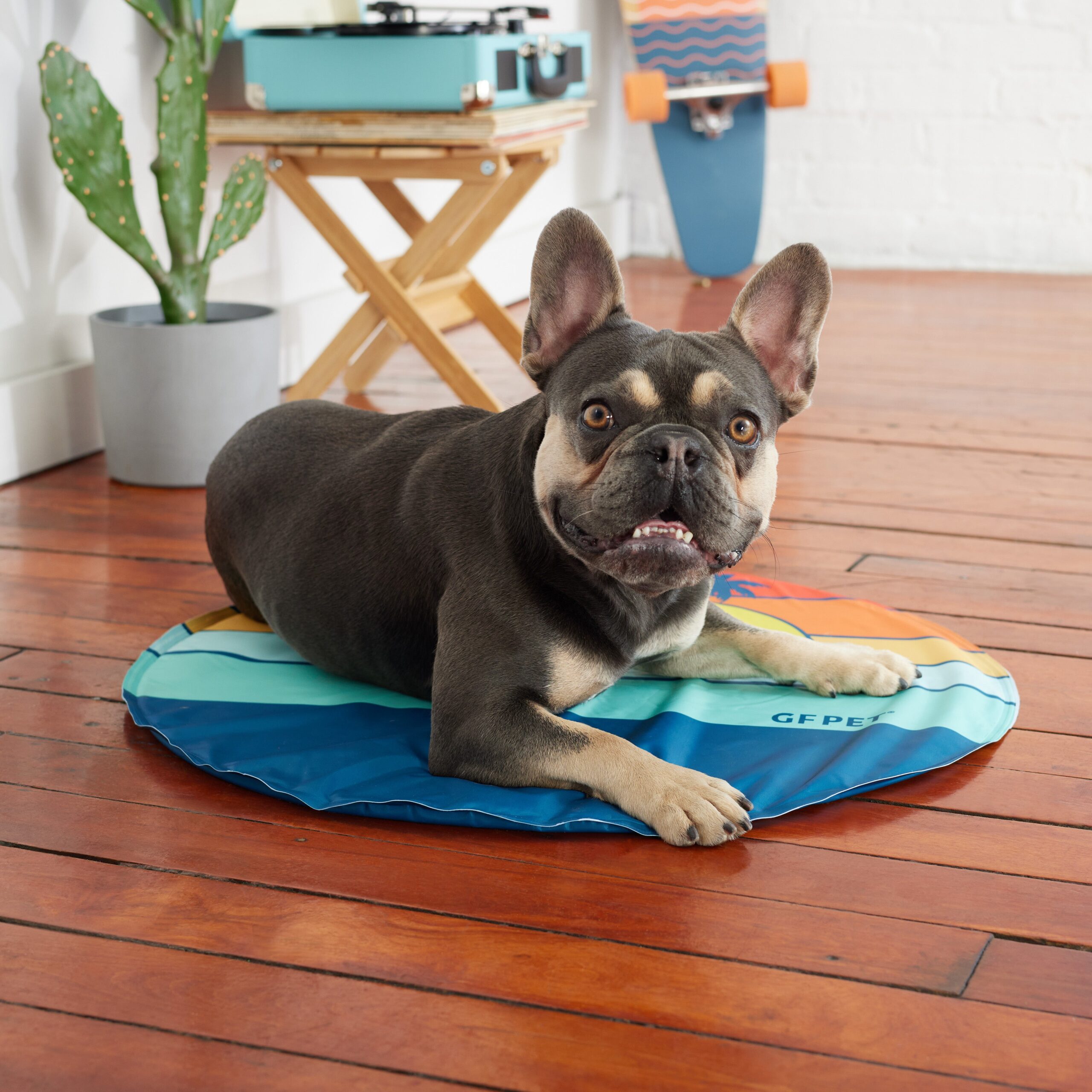 GF Pet Ice Mat - Image 5
