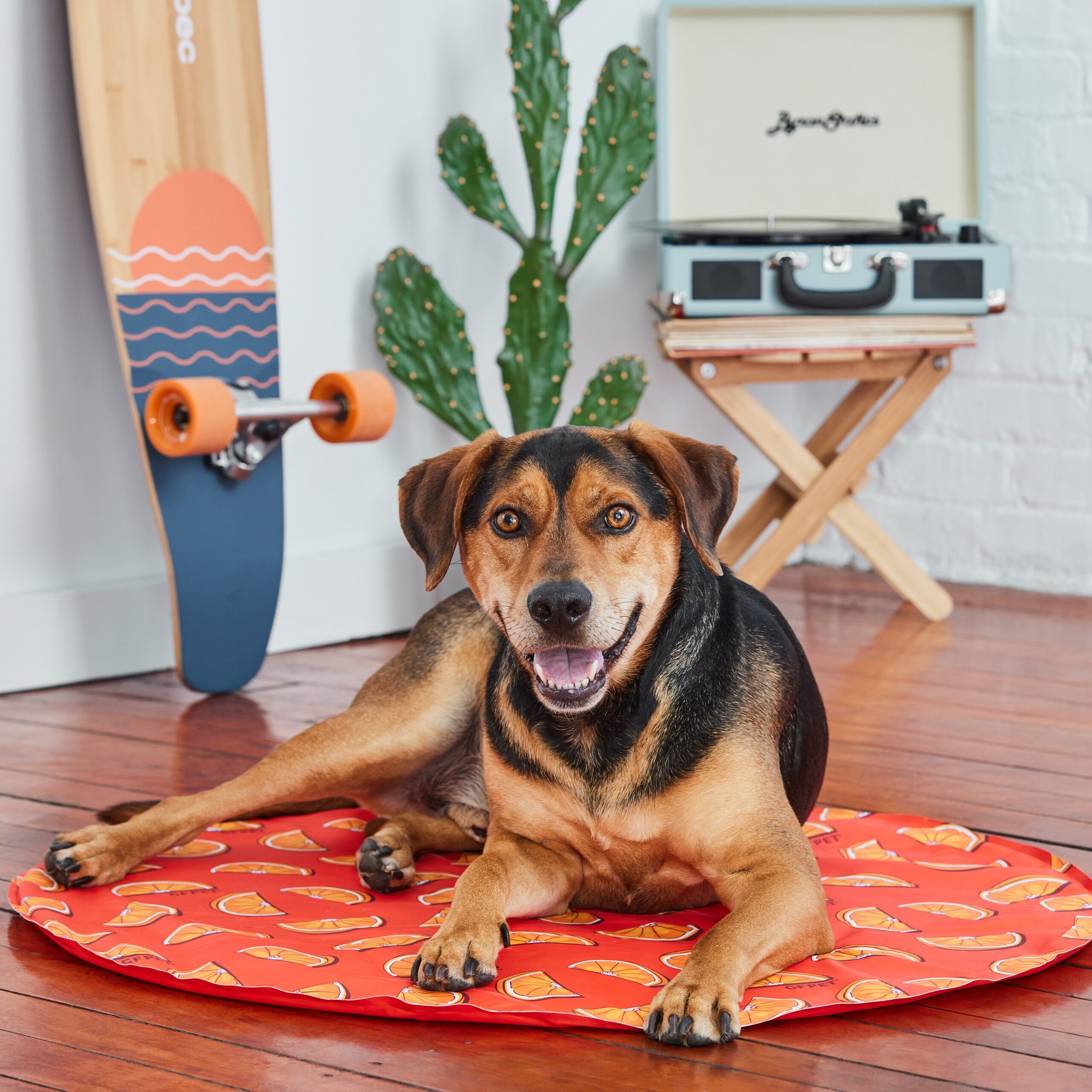 GF Pet Ice Mat - Image 3