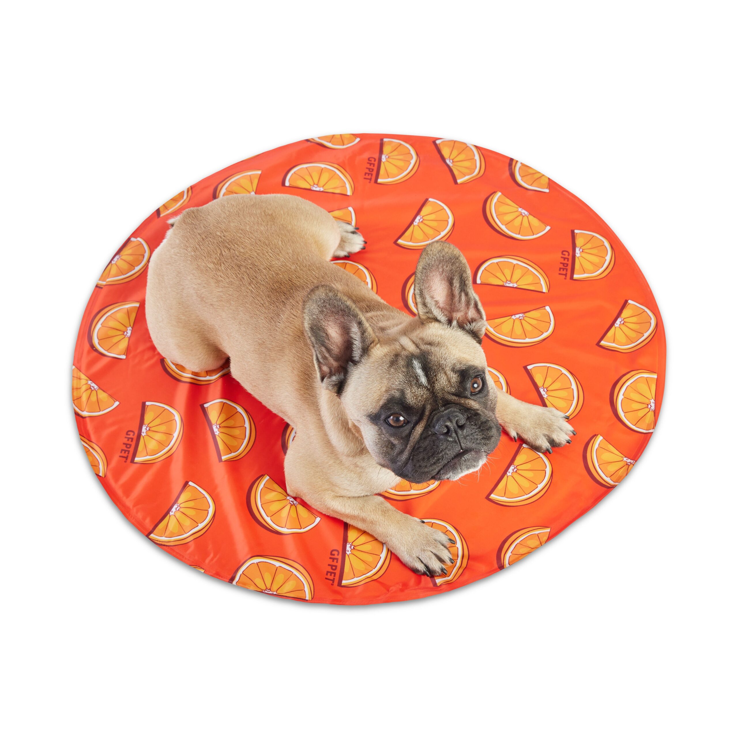 GF Pet Ice Mat - Image 2