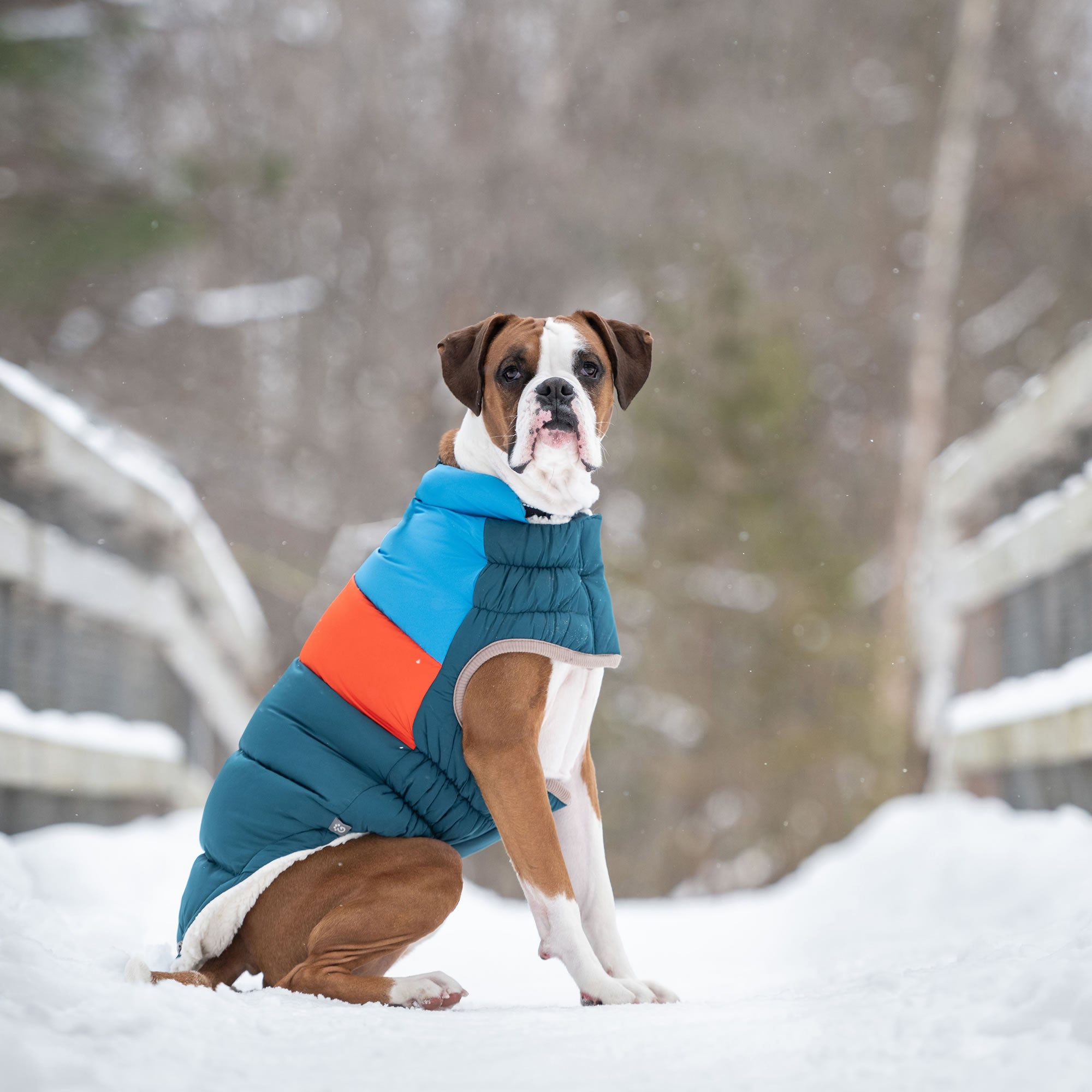 Color Block Puffer - Image 6