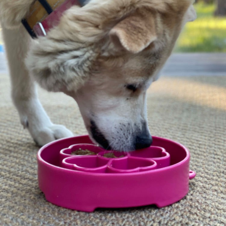 SodaPup Flower eBowl Deep Slow Feeder Dog Bowl Enrichment | USA Made
