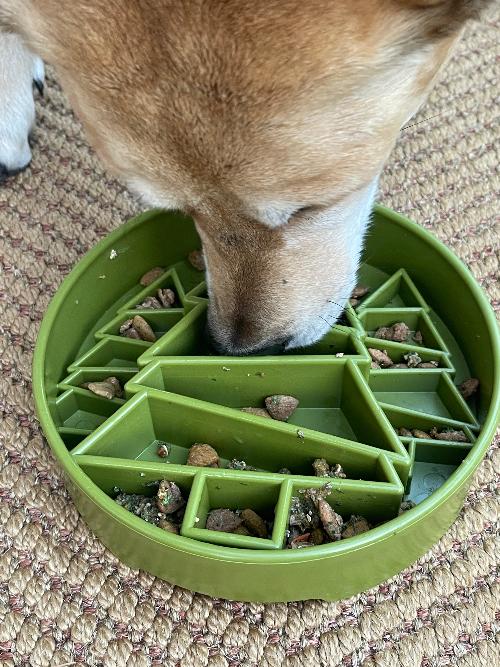 SodaPup Pine Tree Christmas eBowl Deep Slow Feeder Dog Bowl Enrichment | USA Made