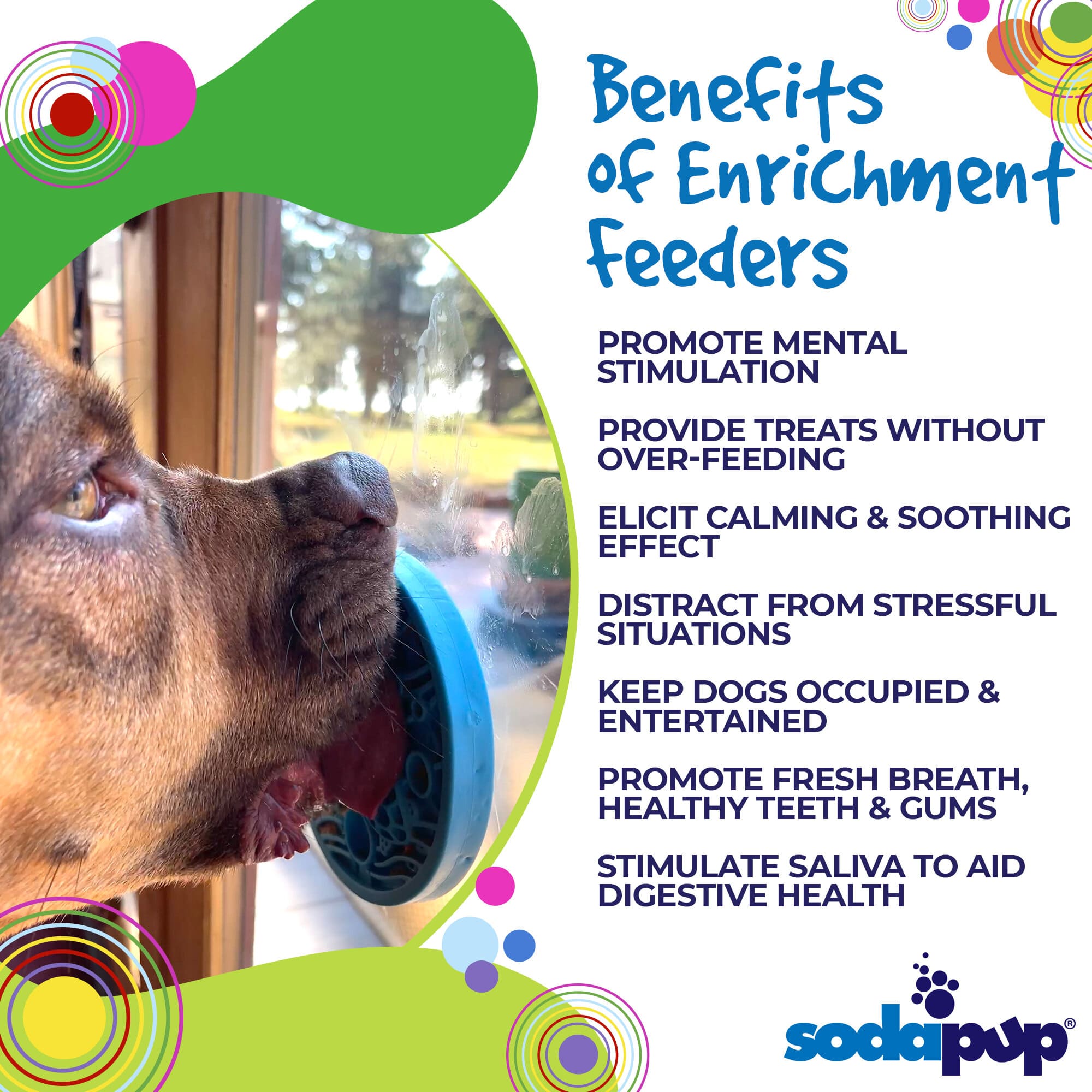 SodaPup Turtle eMat-Mini Lick Mat Suction Cups Small Dogs & Cats | USA