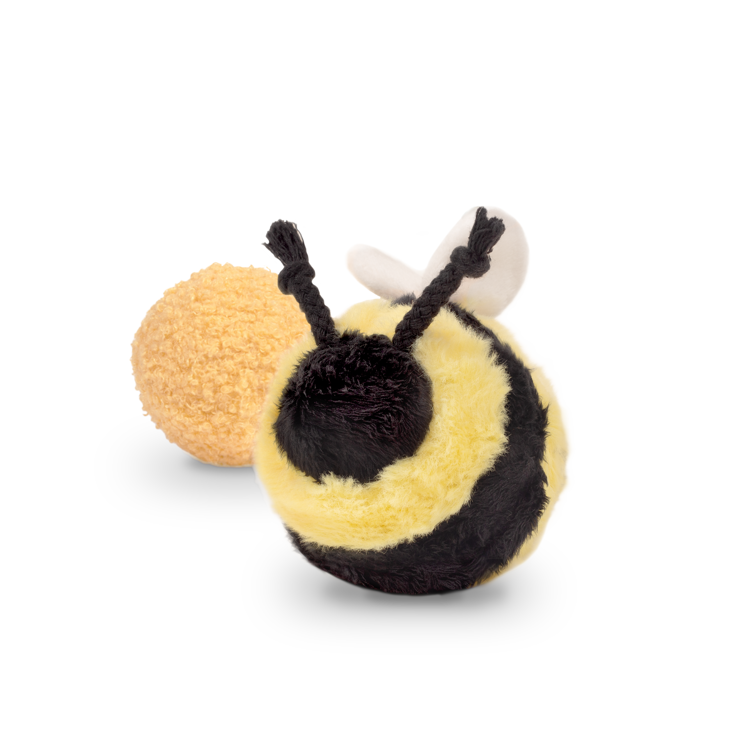 BEE POP - Lambwolf Collective