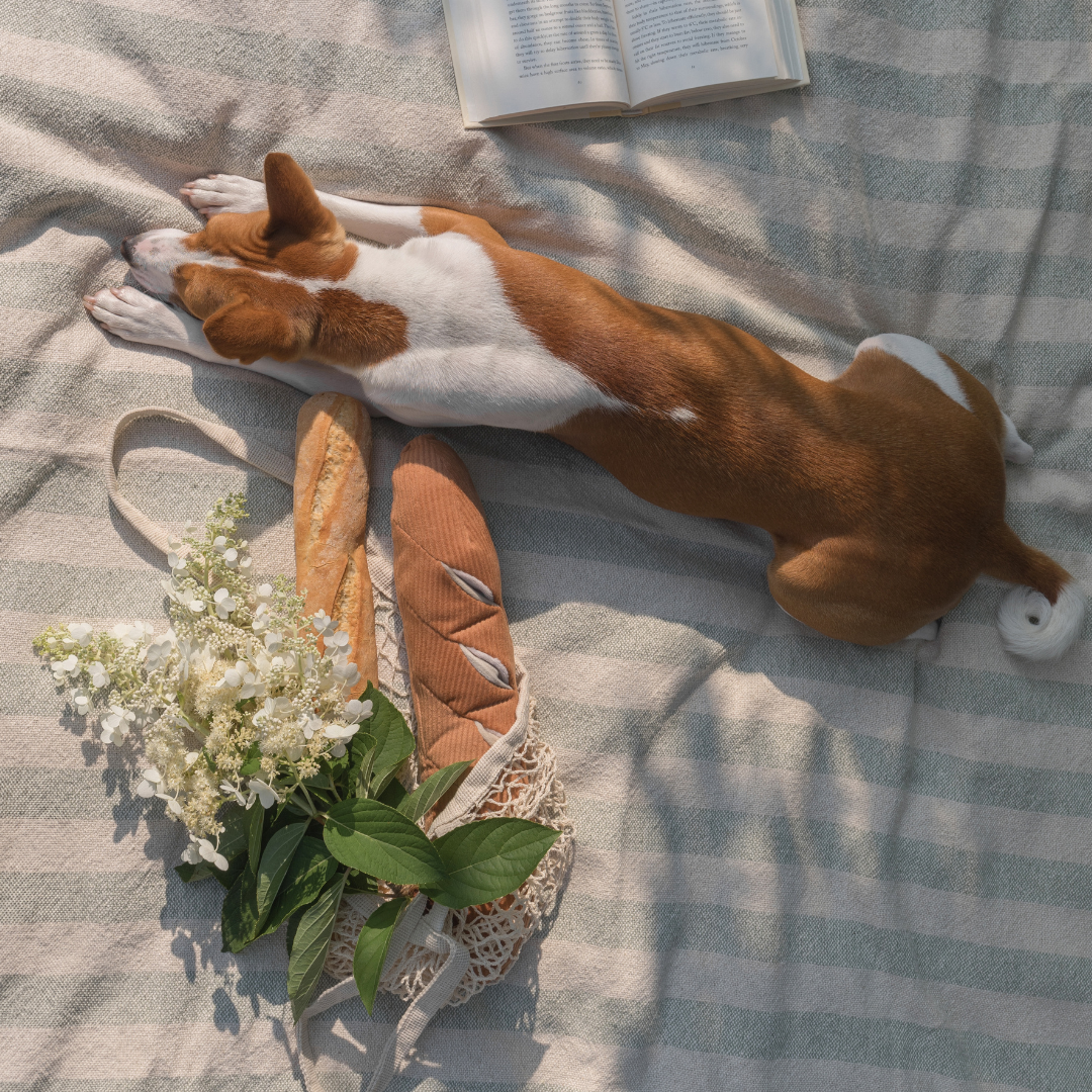 BAGUETTE - Lambwolf Collective