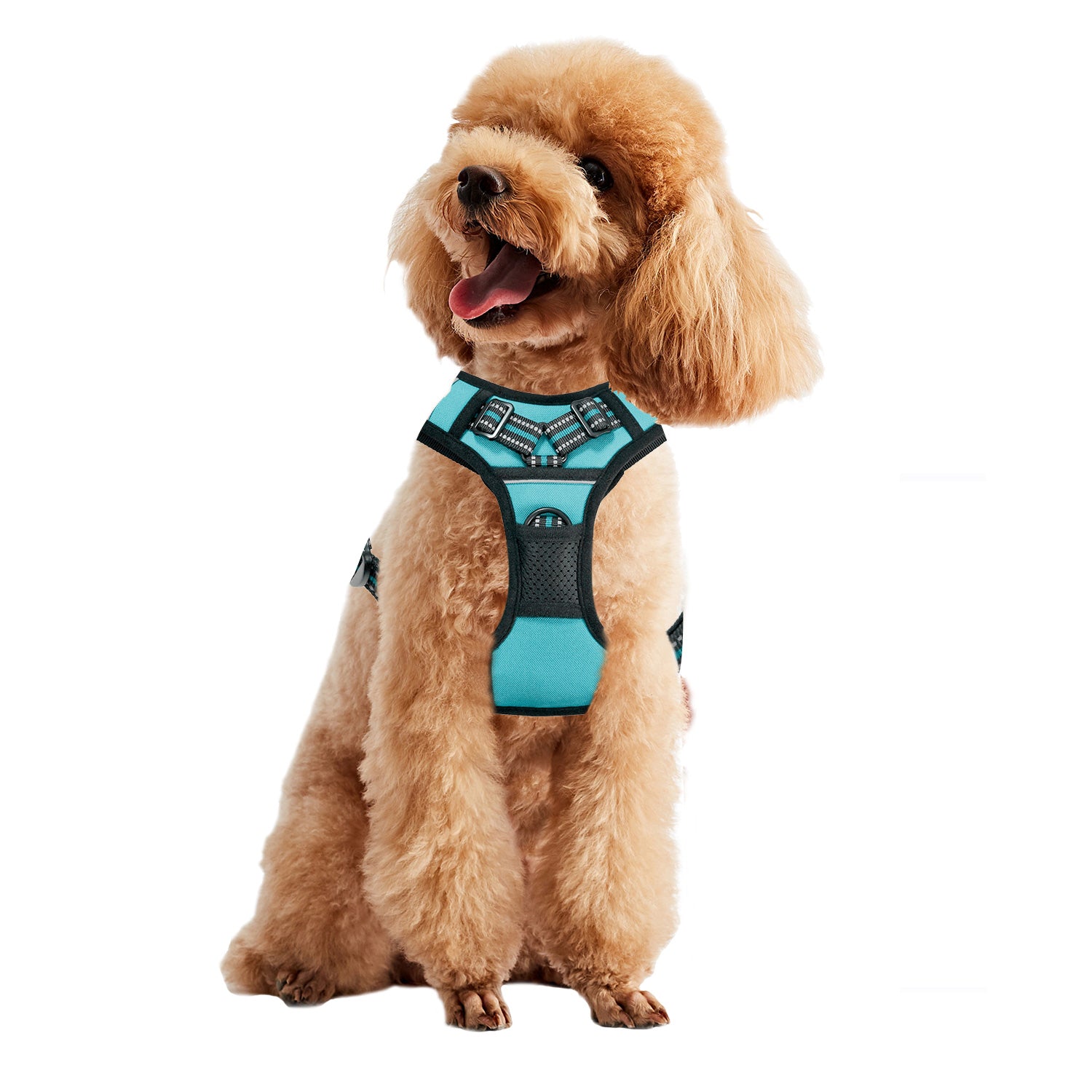 GOOPAWS Padded Reflective Pet Dog Harness, Lightweight Ripstop, Blue