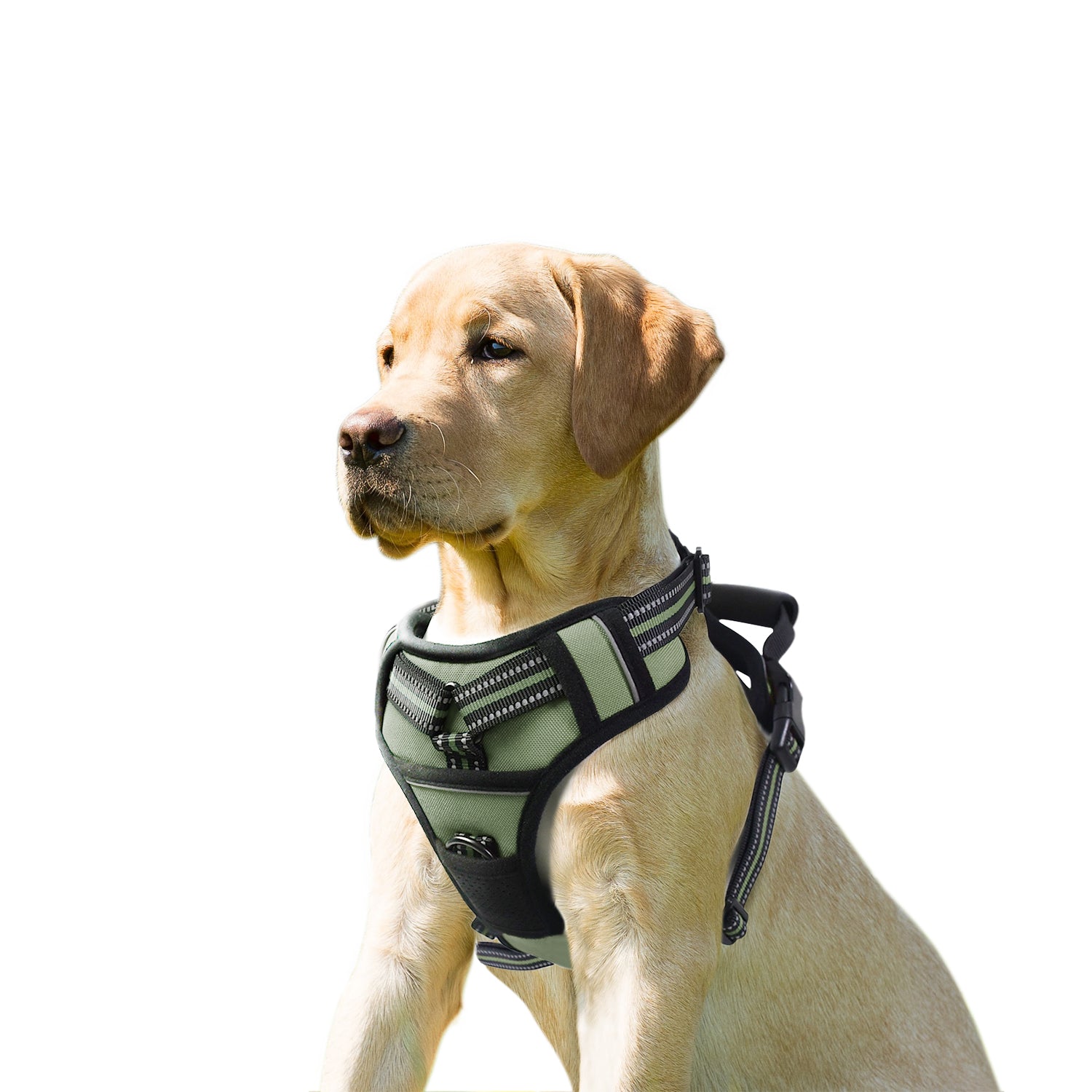 GOOPAWS Padded Reflective Pet Dog Harness, Lightweight Ripstop, Green - Image 11