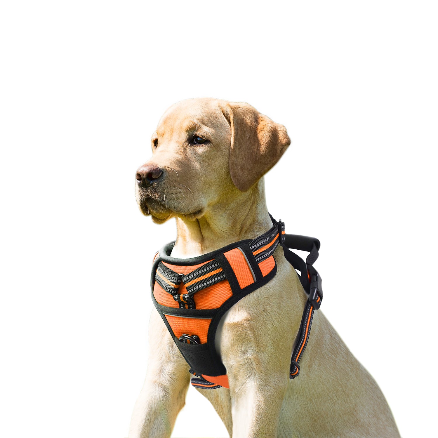 GOOPAWS Padded Reflective Pet Dog Harness, Lightweight Ripstop, Orange - Image 7