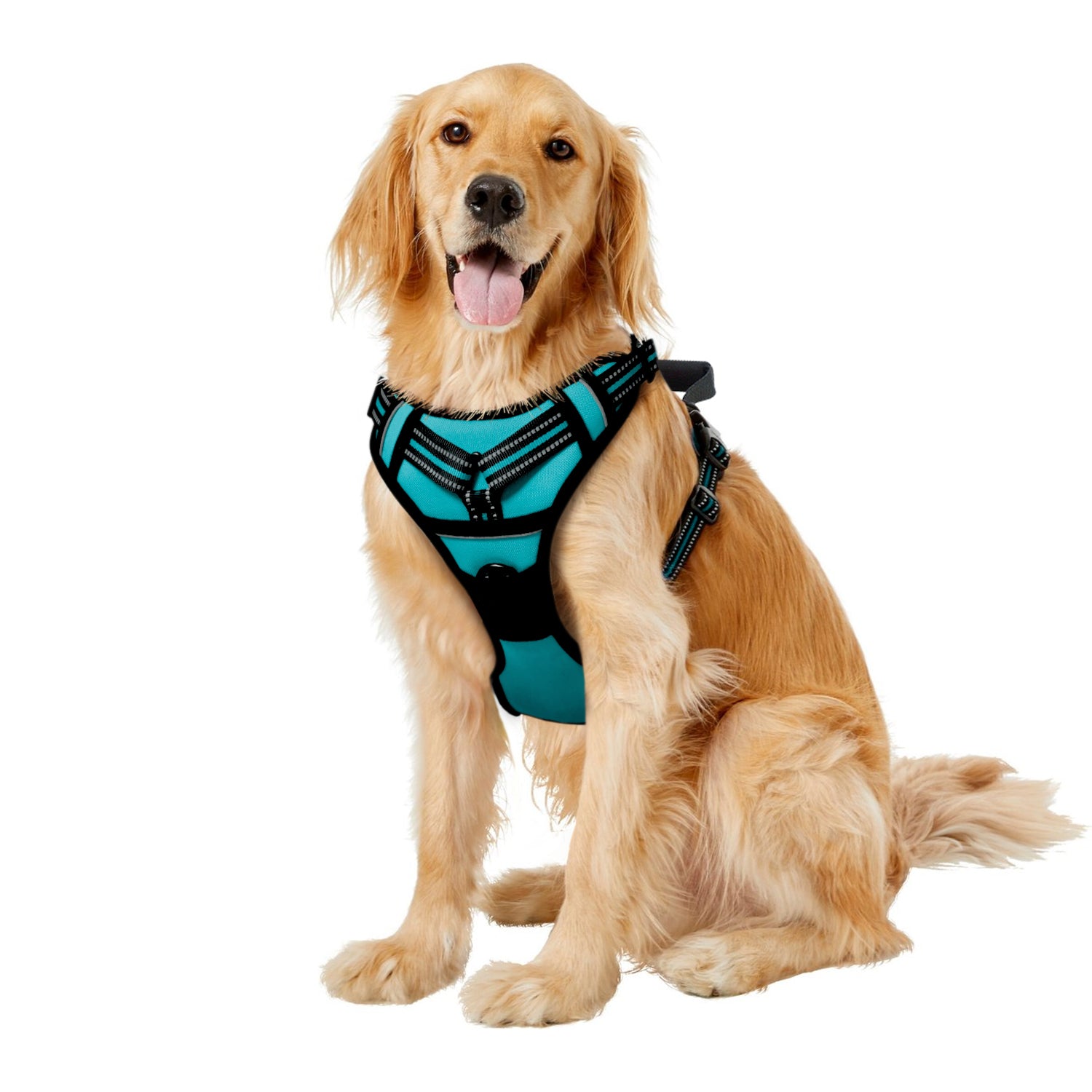 GOOPAWS Padded Reflective Pet Dog Harness, Lightweight Ripstop, Blue - Image 12