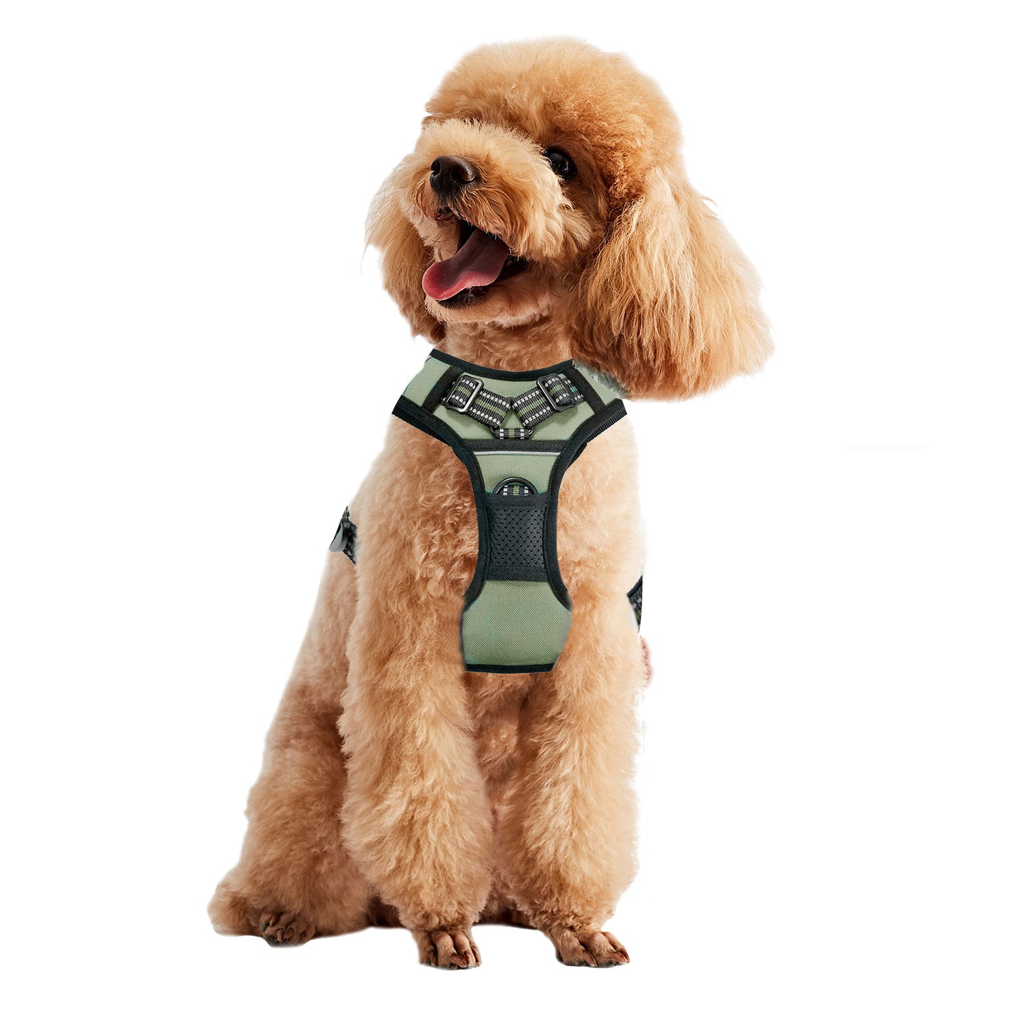 GOOPAWS Padded Reflective Pet Dog Harness, Lightweight Ripstop, Green