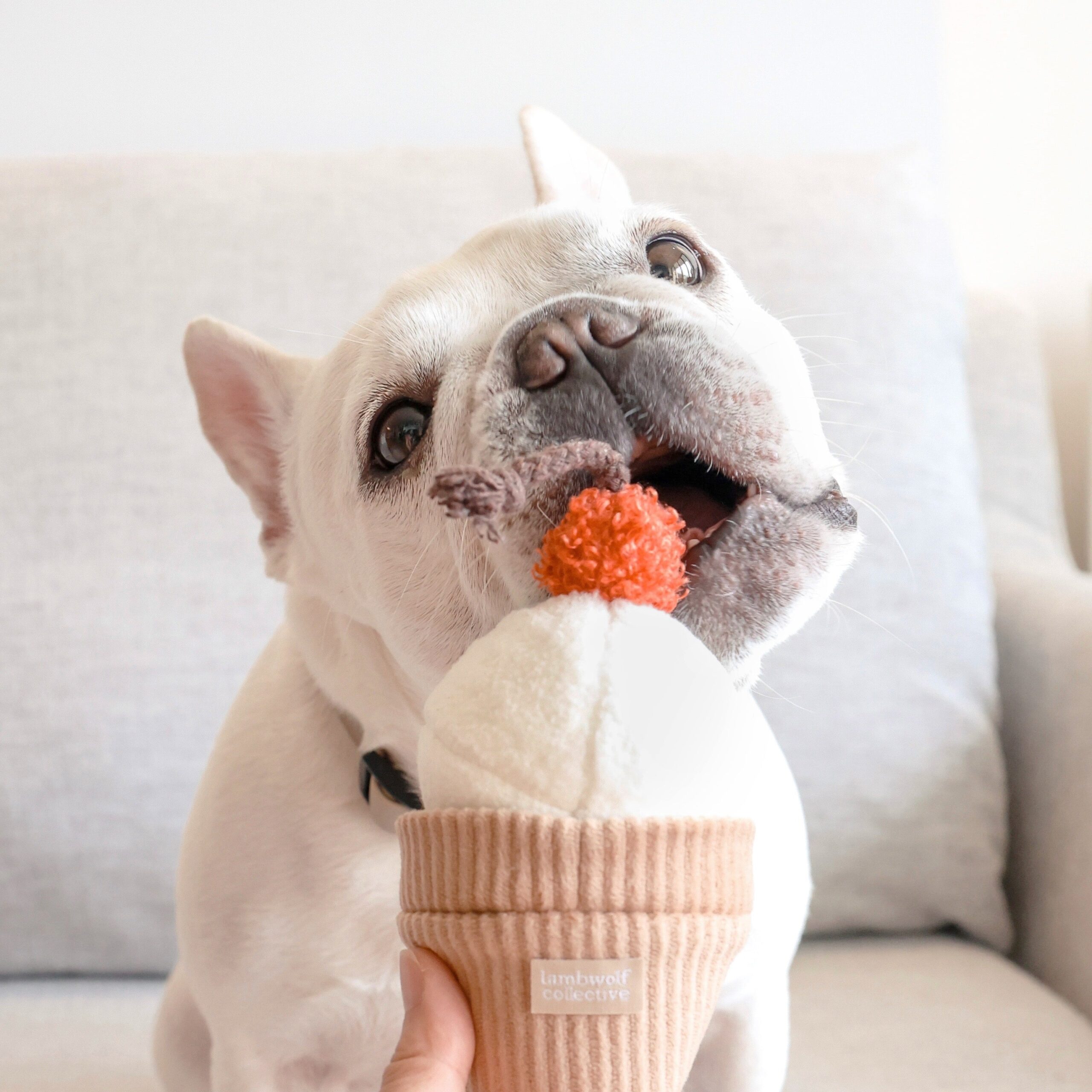 Ice Cream POP - Lambwolf Collective