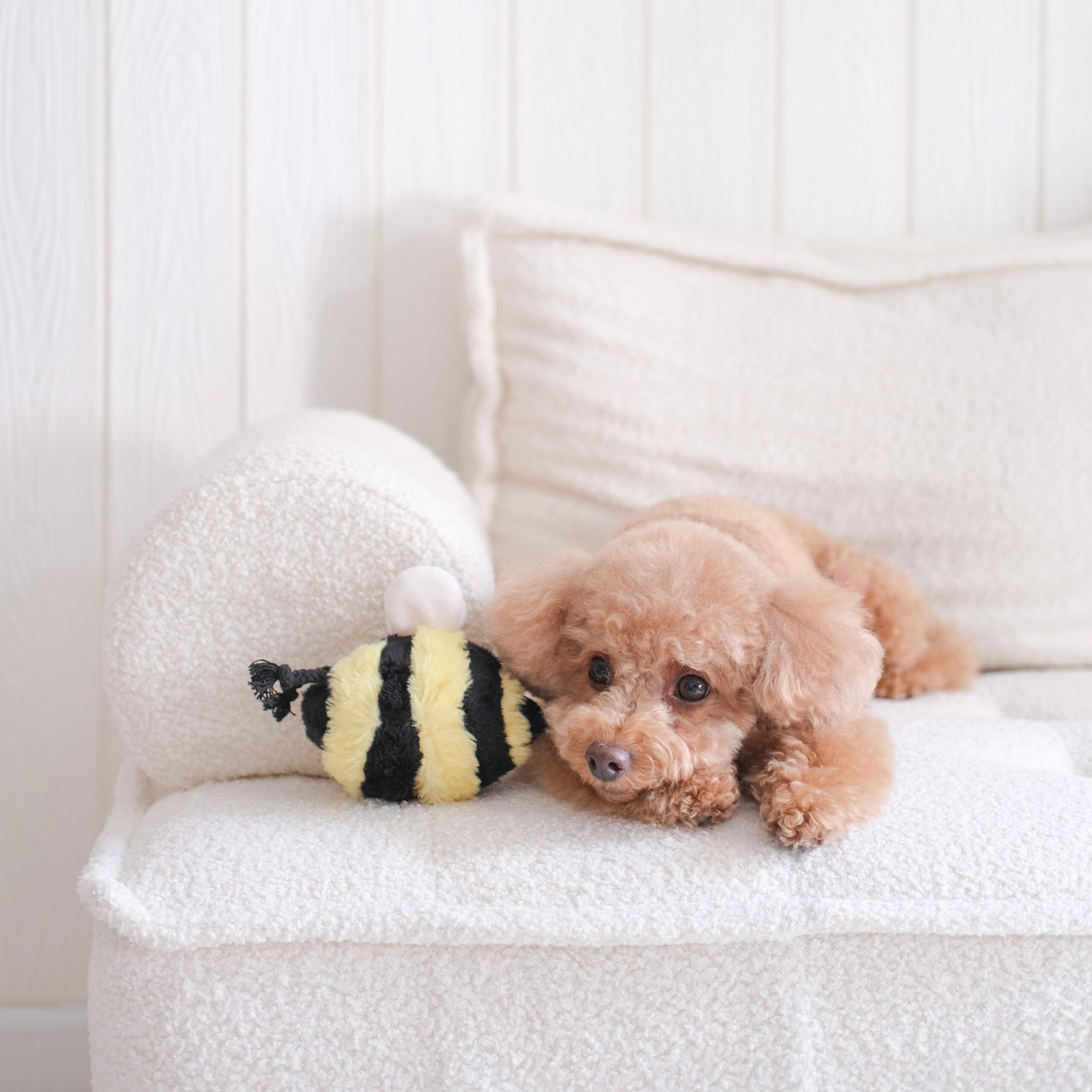 BEE POP - Lambwolf Collective