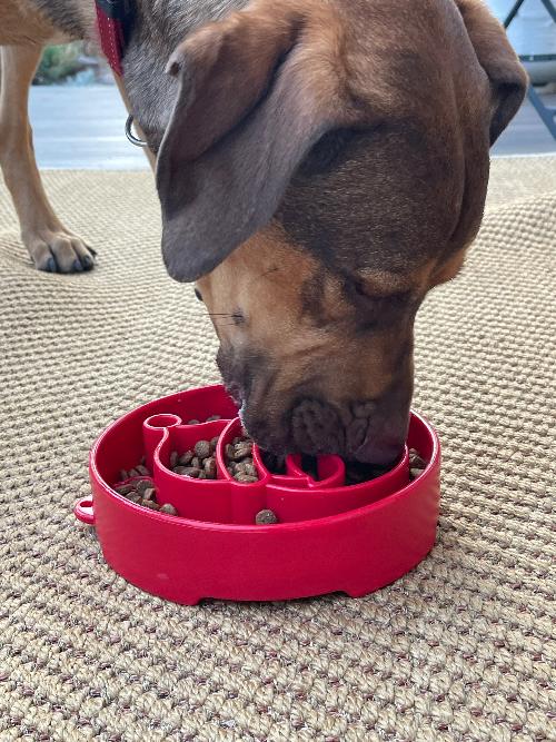 SodaPup Santa Christmas eBowl Deep Slow Feeder Dog Bowl Enrichment | USA Made