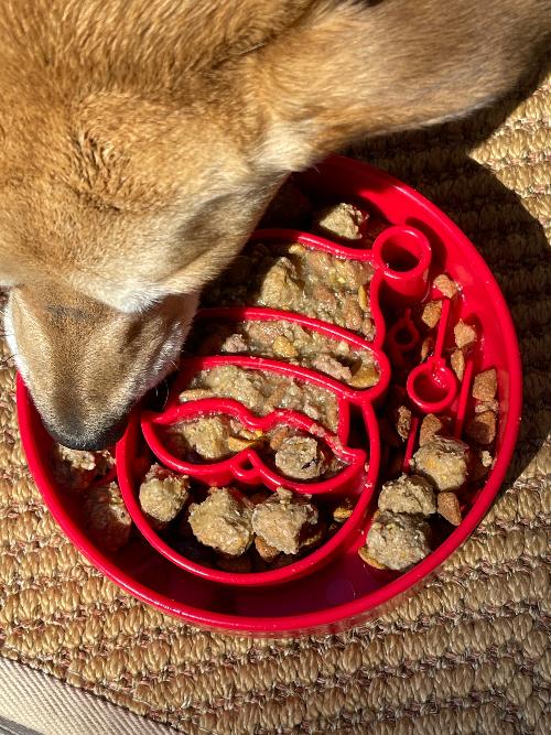 SodaPup Santa Christmas eBowl Deep Slow Feeder Dog Bowl Enrichment | USA Made